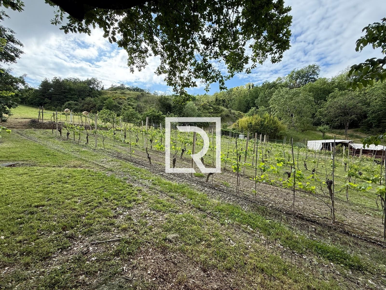 WhatsApp Image 2025-05-09 at 17.20.36 (2)