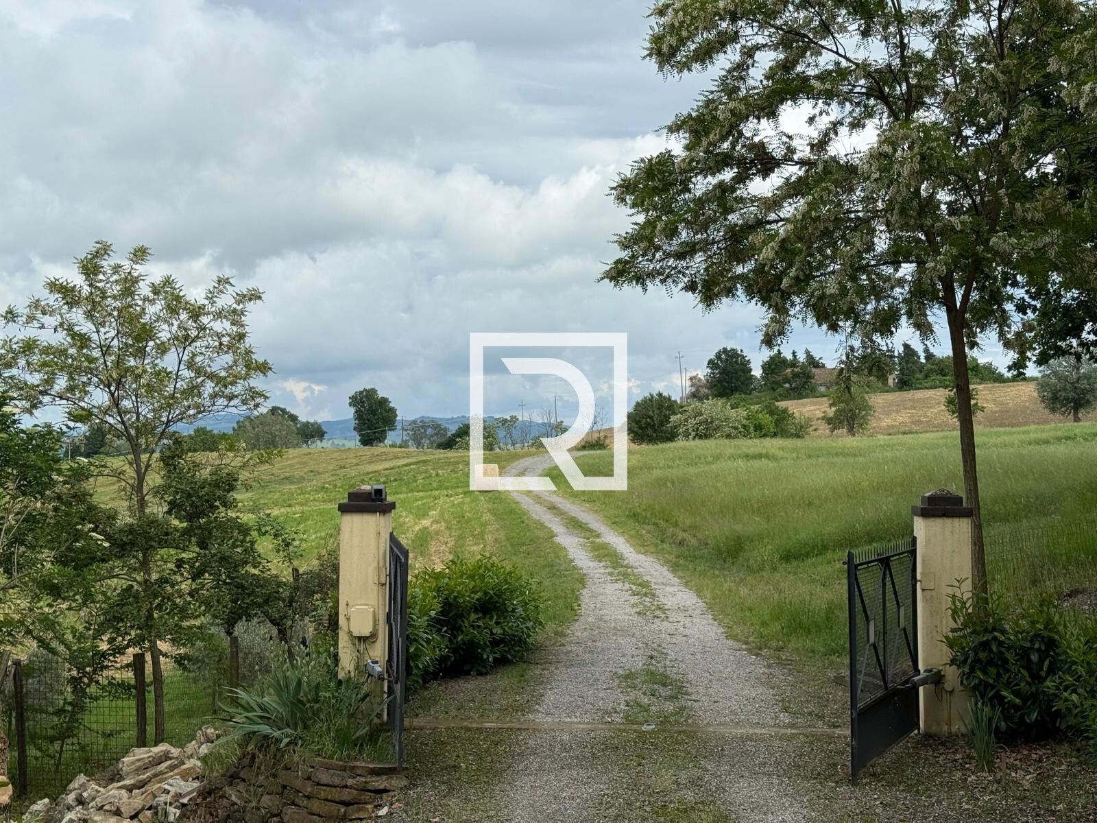 WhatsApp Image 2025-05-09 at 17.20.35 (1)