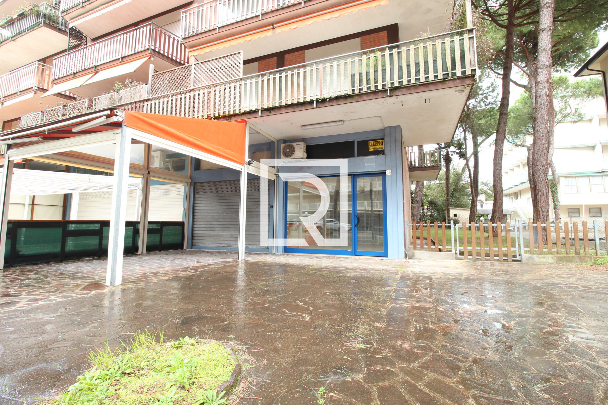 FRONTALE