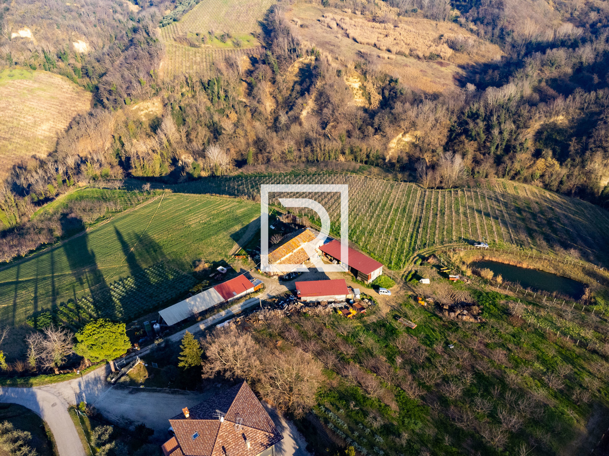 DJI_0313