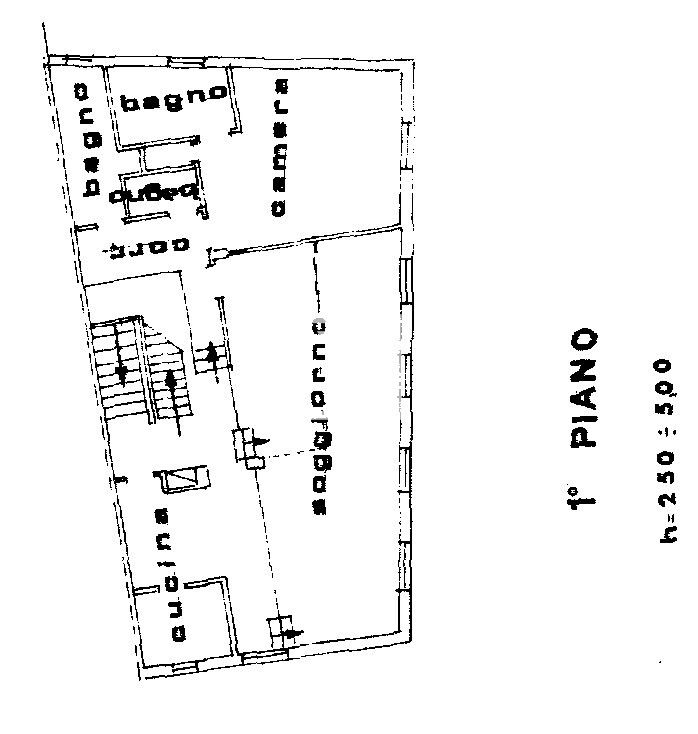 PLN P1