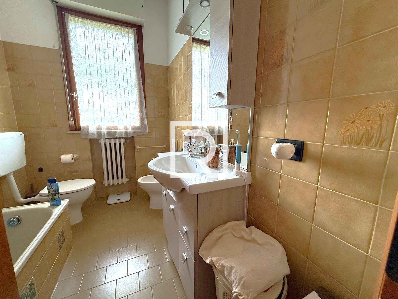 WhatsApp Image 2026-02-09 at 20.07.13 (2)