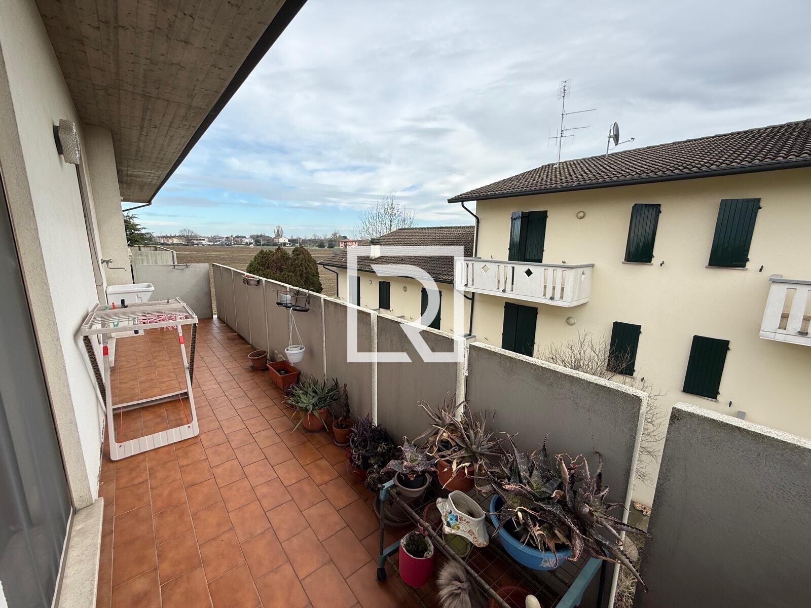 WhatsApp Image 2026-02-09 at 20.07.19 (1)