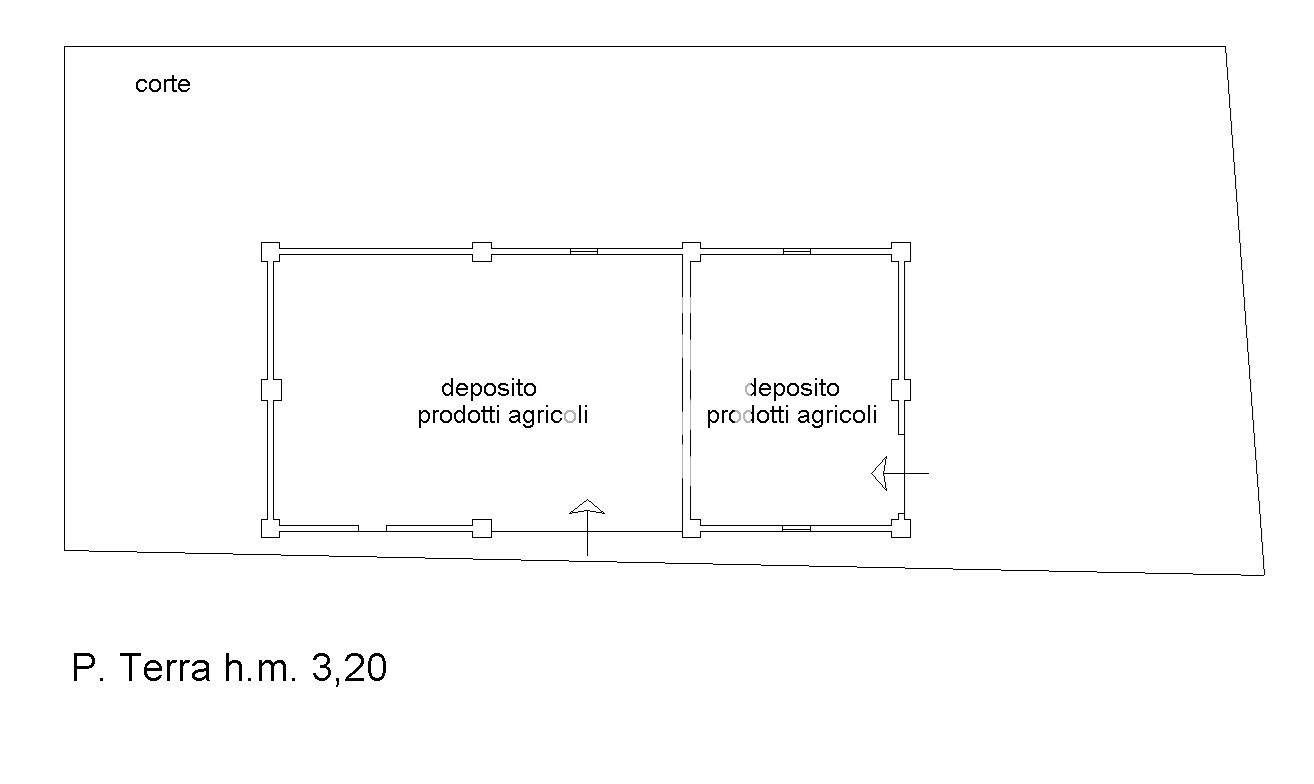 pln deposito pt annuncio