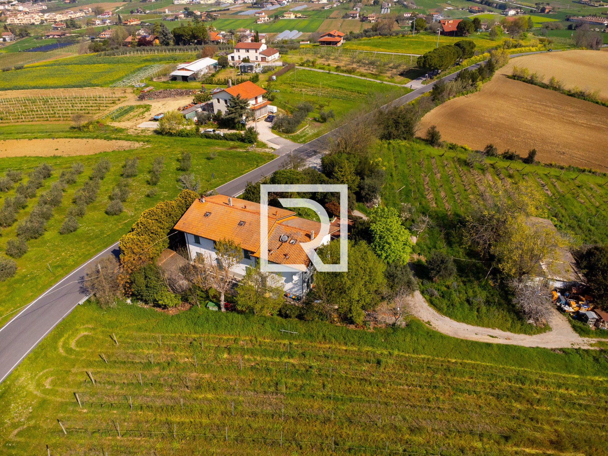 DJI_0653