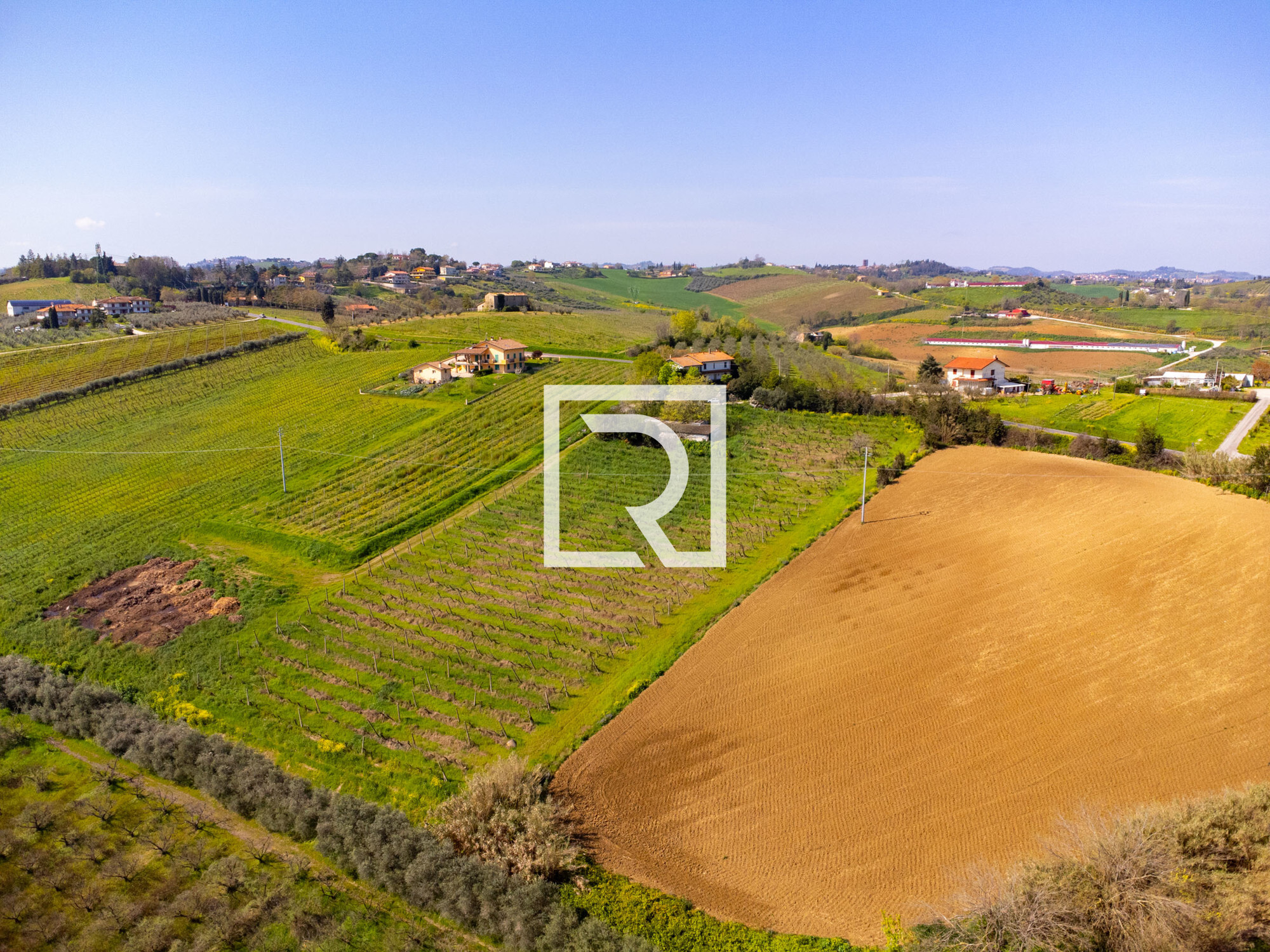 DJI_0706