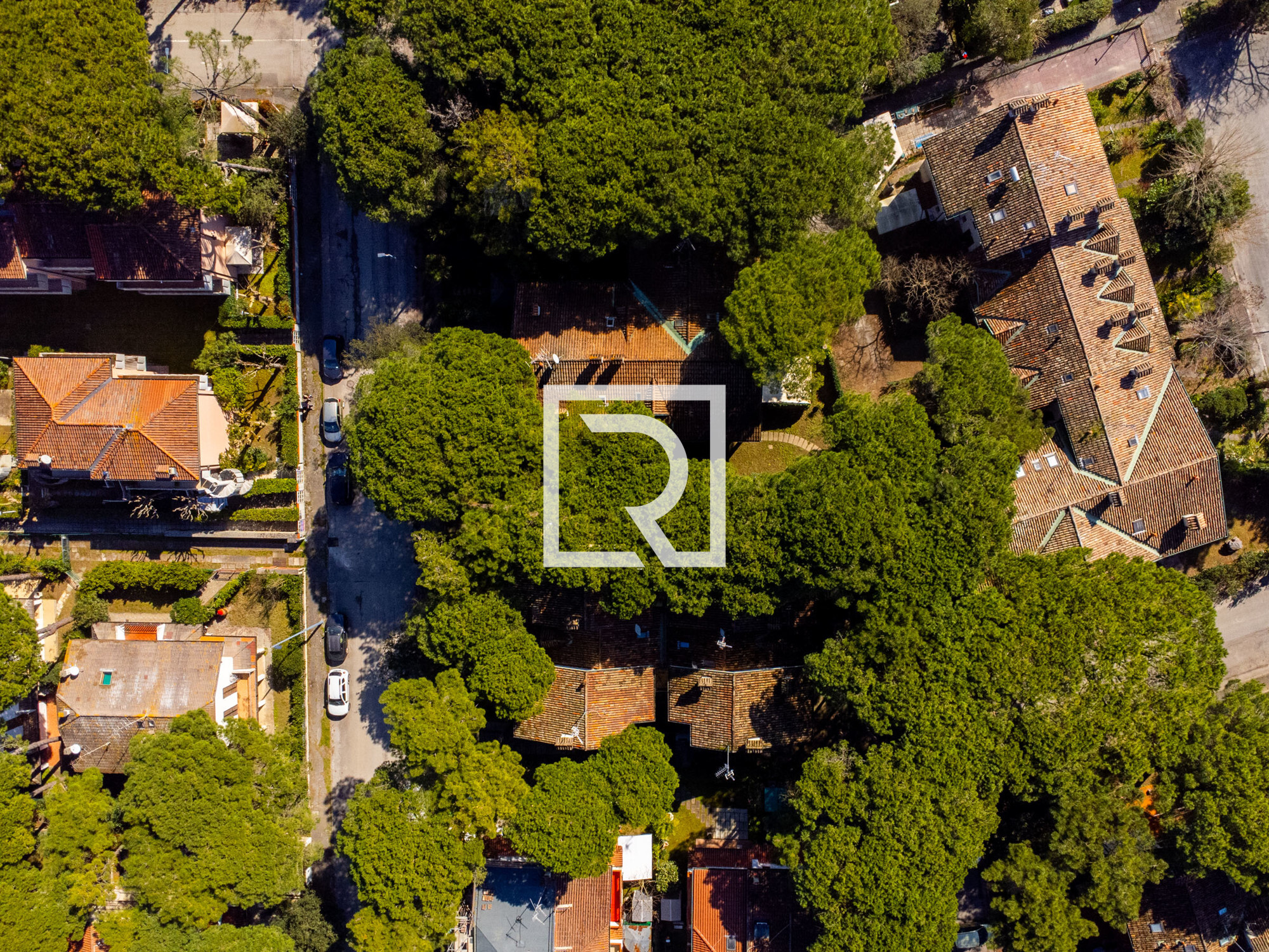 DJI_0577