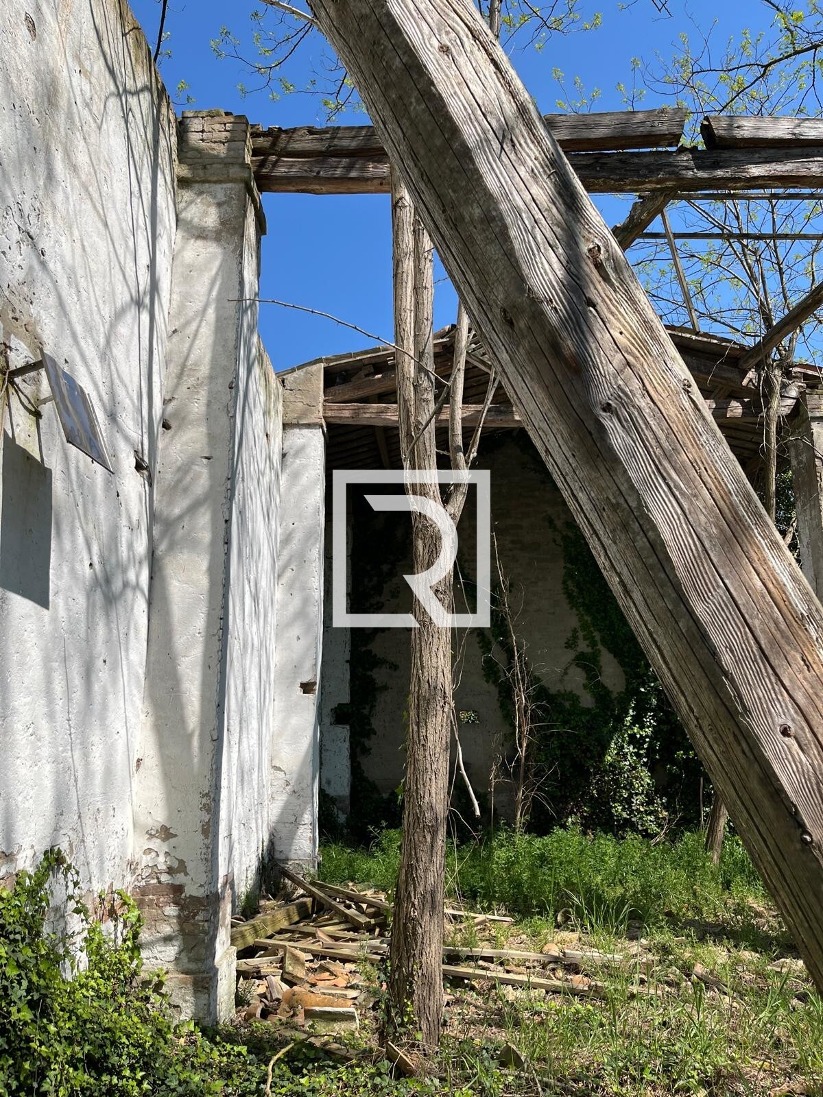 WhatsApp Image 2025-06-30 at 11.15.40