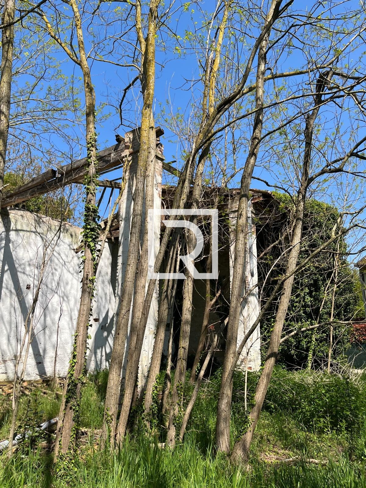 WhatsApp Image 2025-06-30 at 11.15.40 (4)