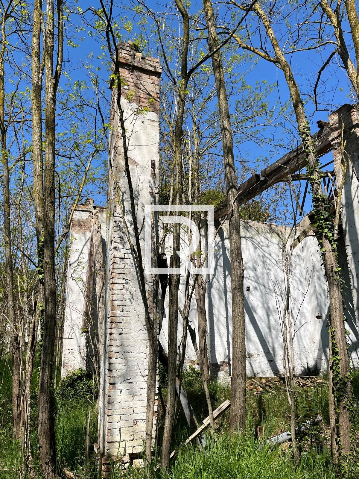 WhatsApp Image 2025-06-30 at 11.15.40 (5)