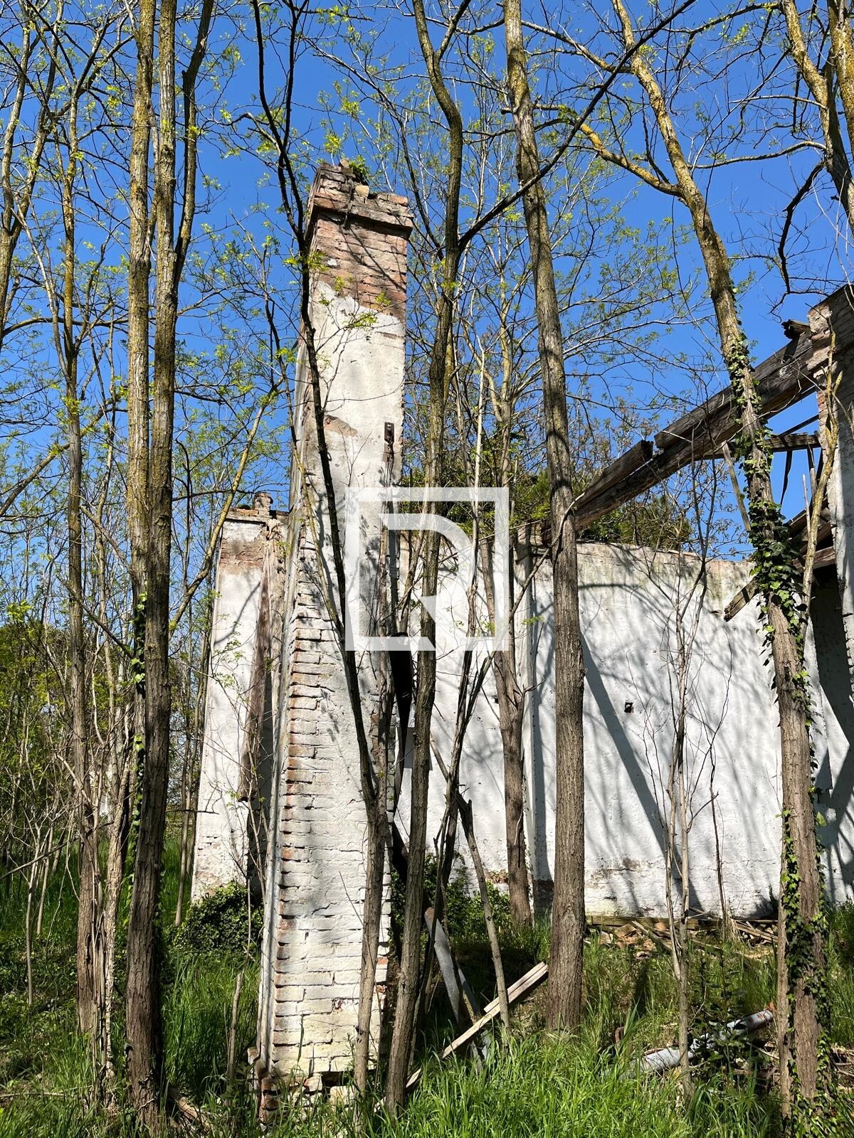 WhatsApp Image 2025-06-30 at 11.15.40 (3)