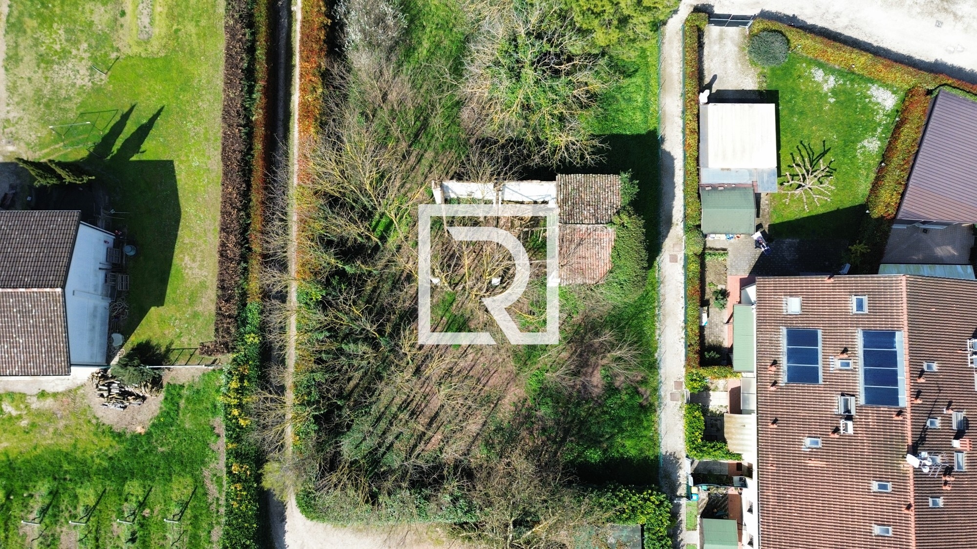 dji_fly_20250324_101518_184_1742820892360_photo_optimized