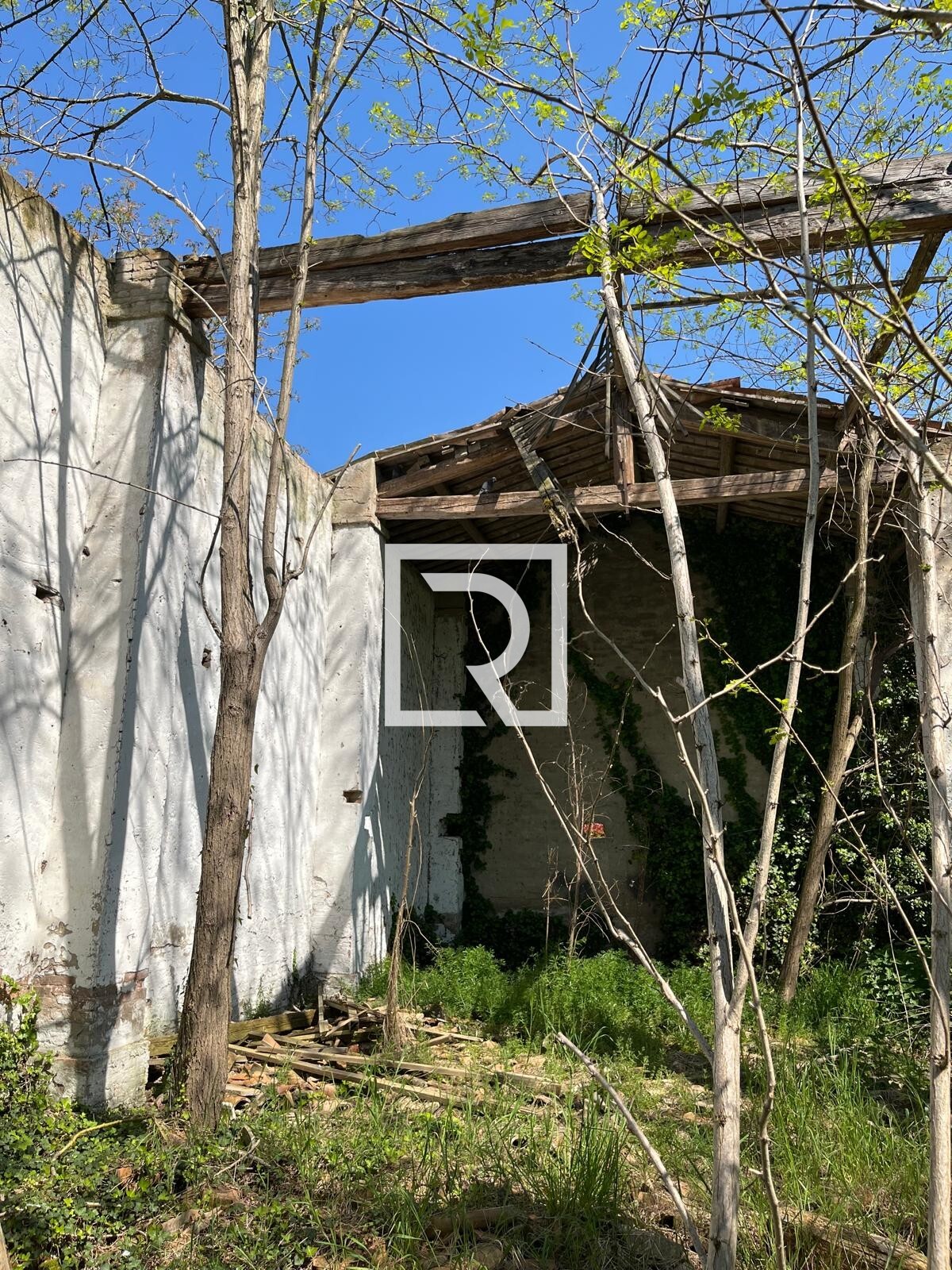 WhatsApp Image 2025-06-30 at 11.15.40 (6)