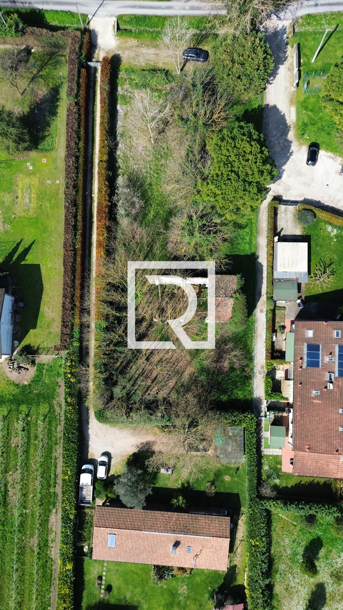 dji_fly_20250324_101540_186_1742820893410_photo_optimized