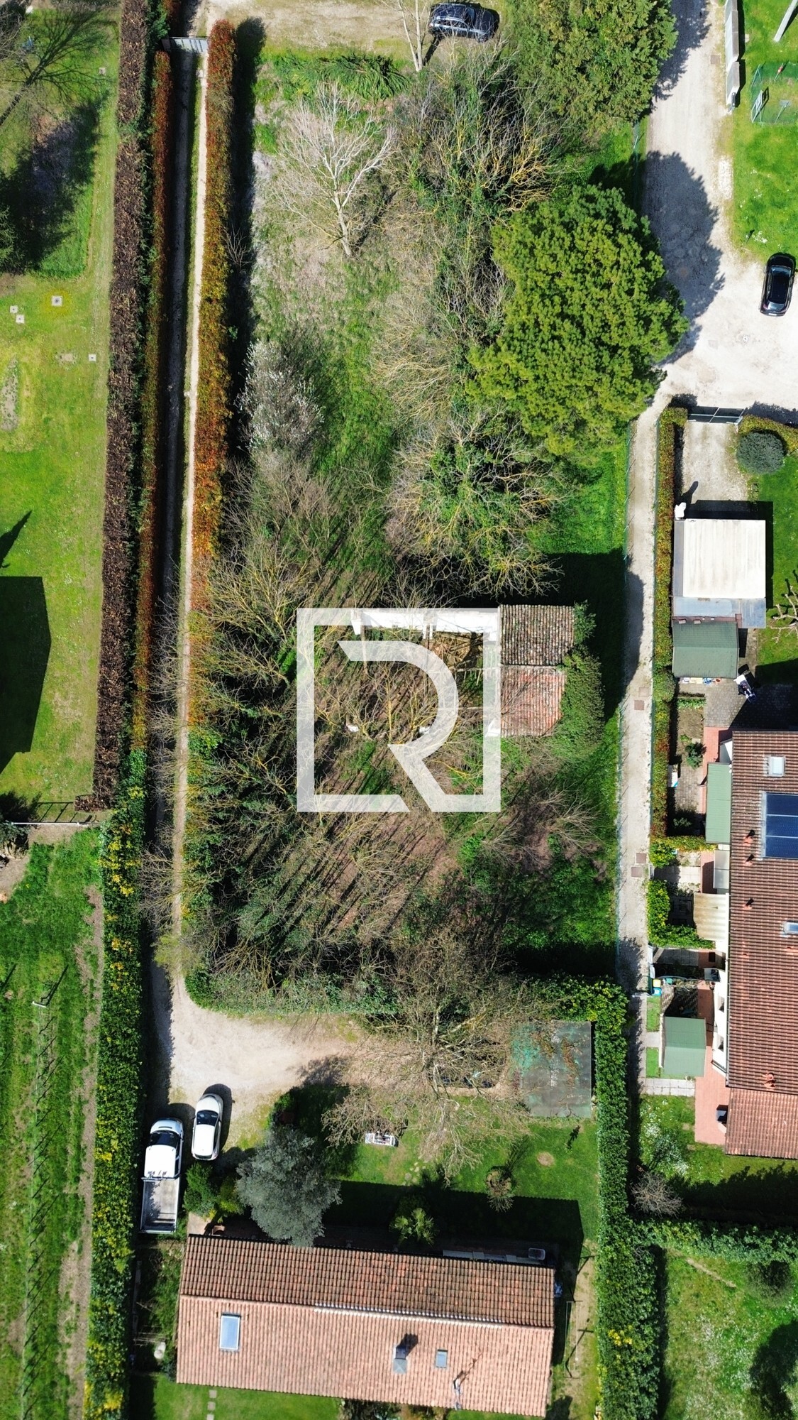 dji_fly_20250324_101532_185_1742820891329_photo_optimized