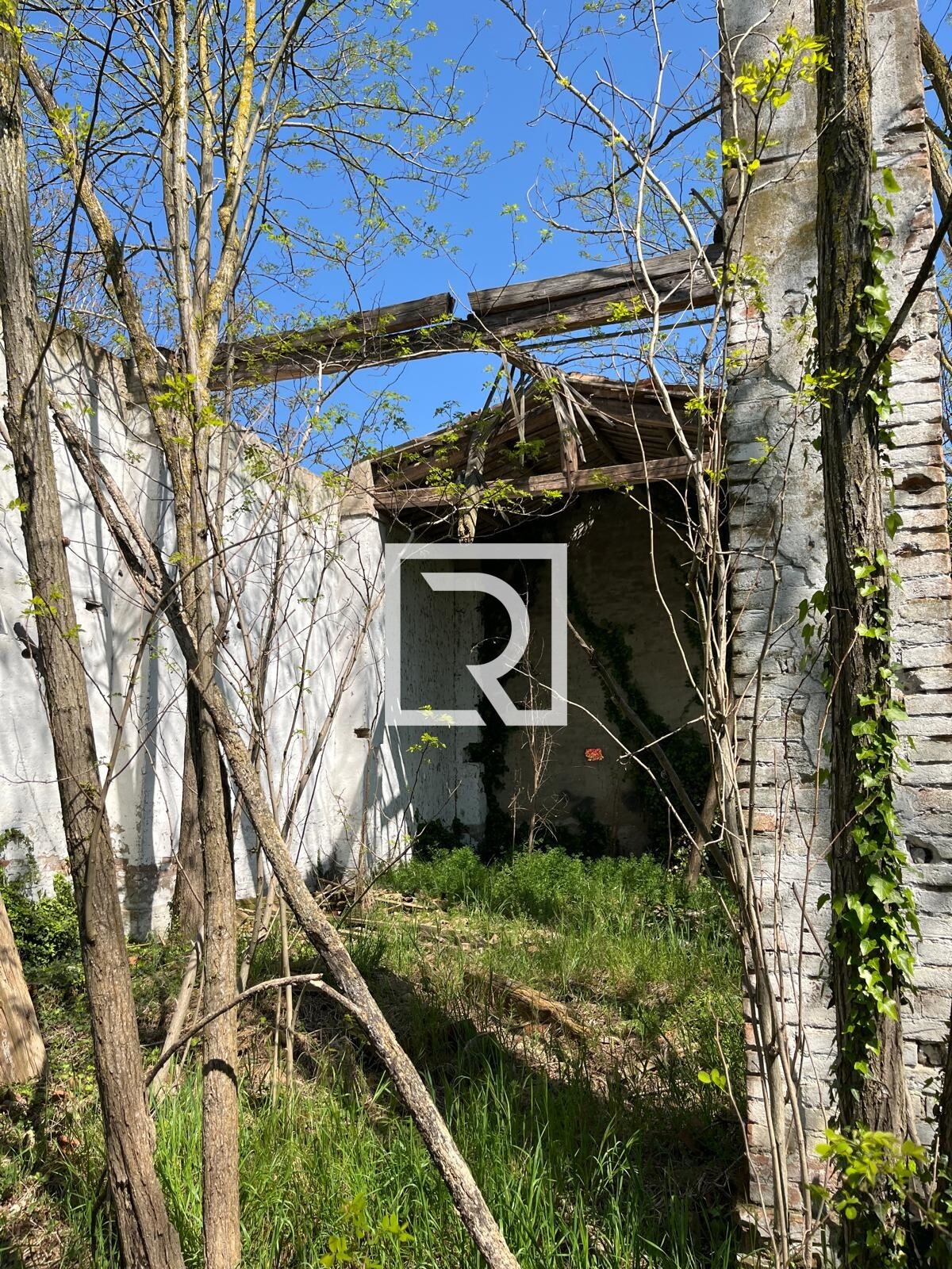 WhatsApp Image 2025-06-30 at 11.15.40 (1)