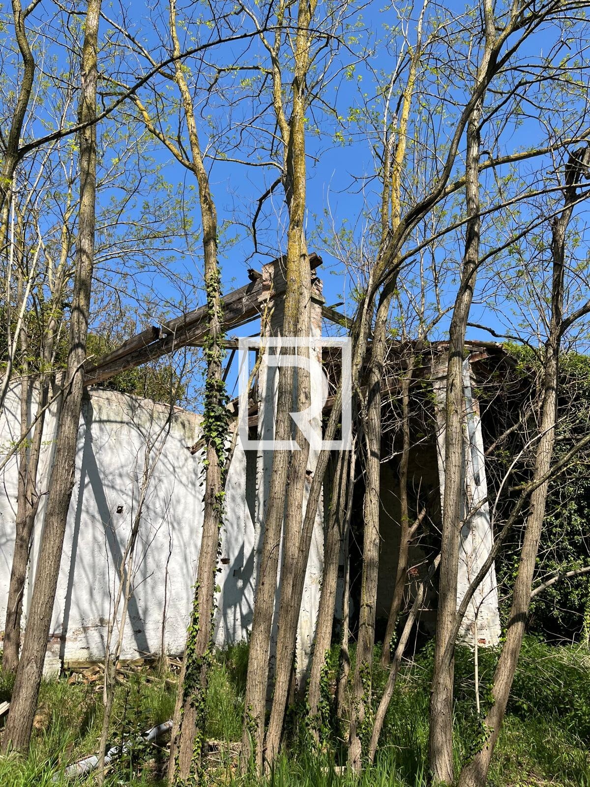 WhatsApp Image 2025-06-30 at 11.15.40 (2)