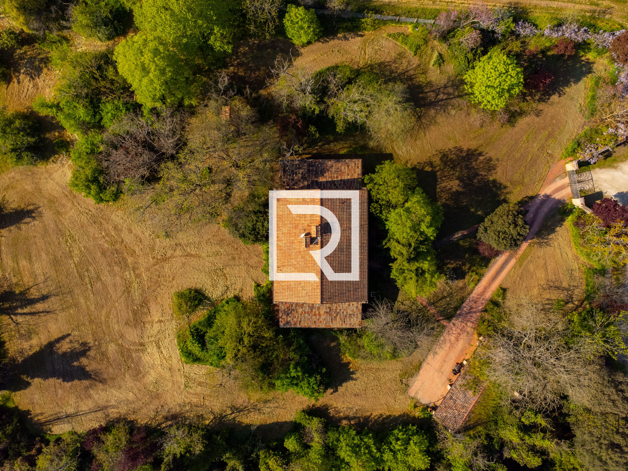 DJI_0721