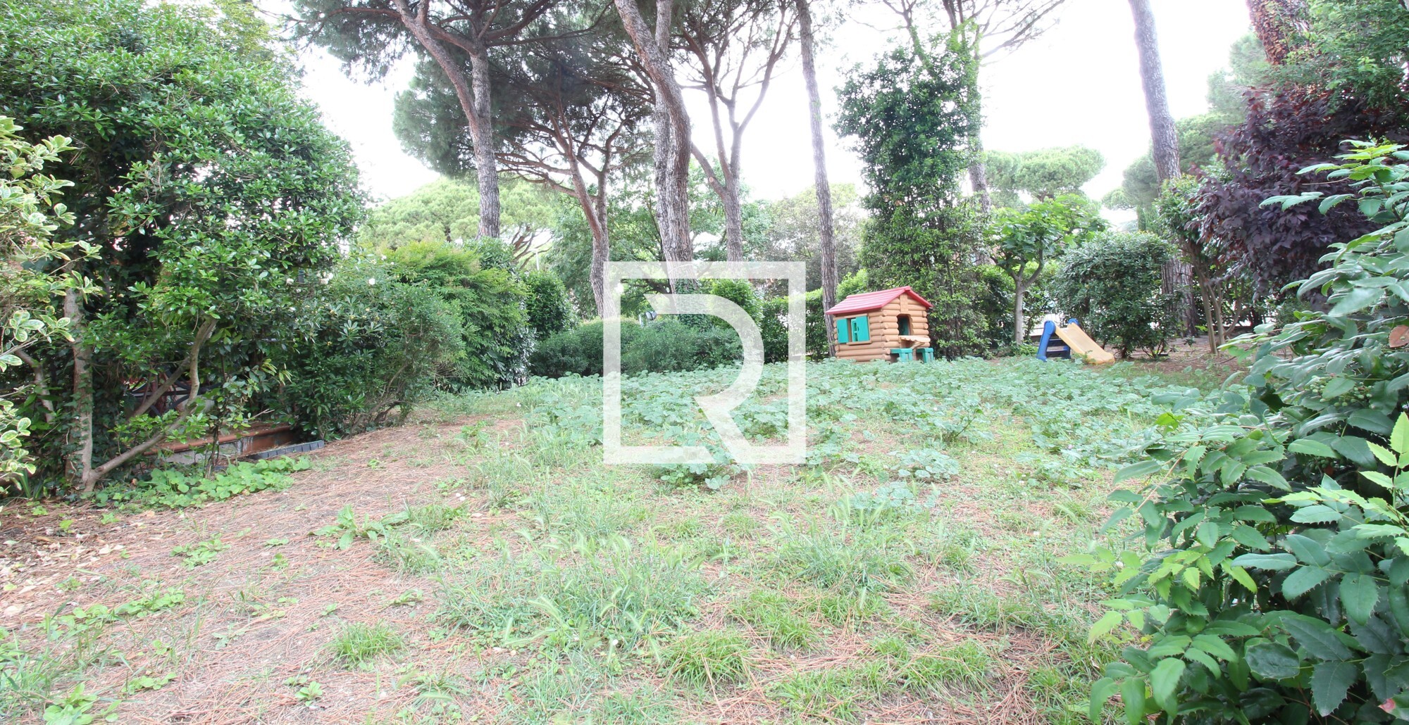 Giardino