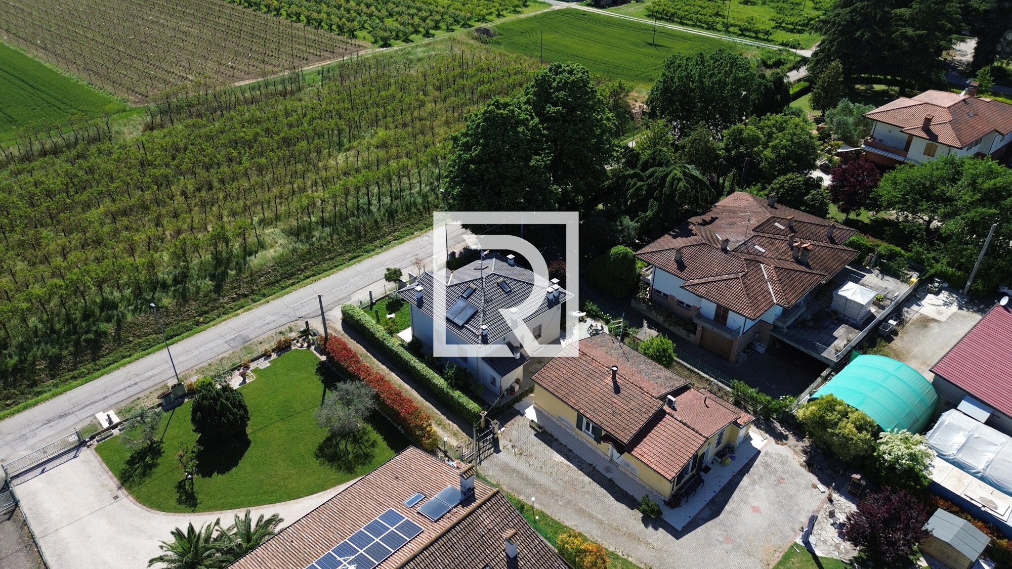 DJI_0384