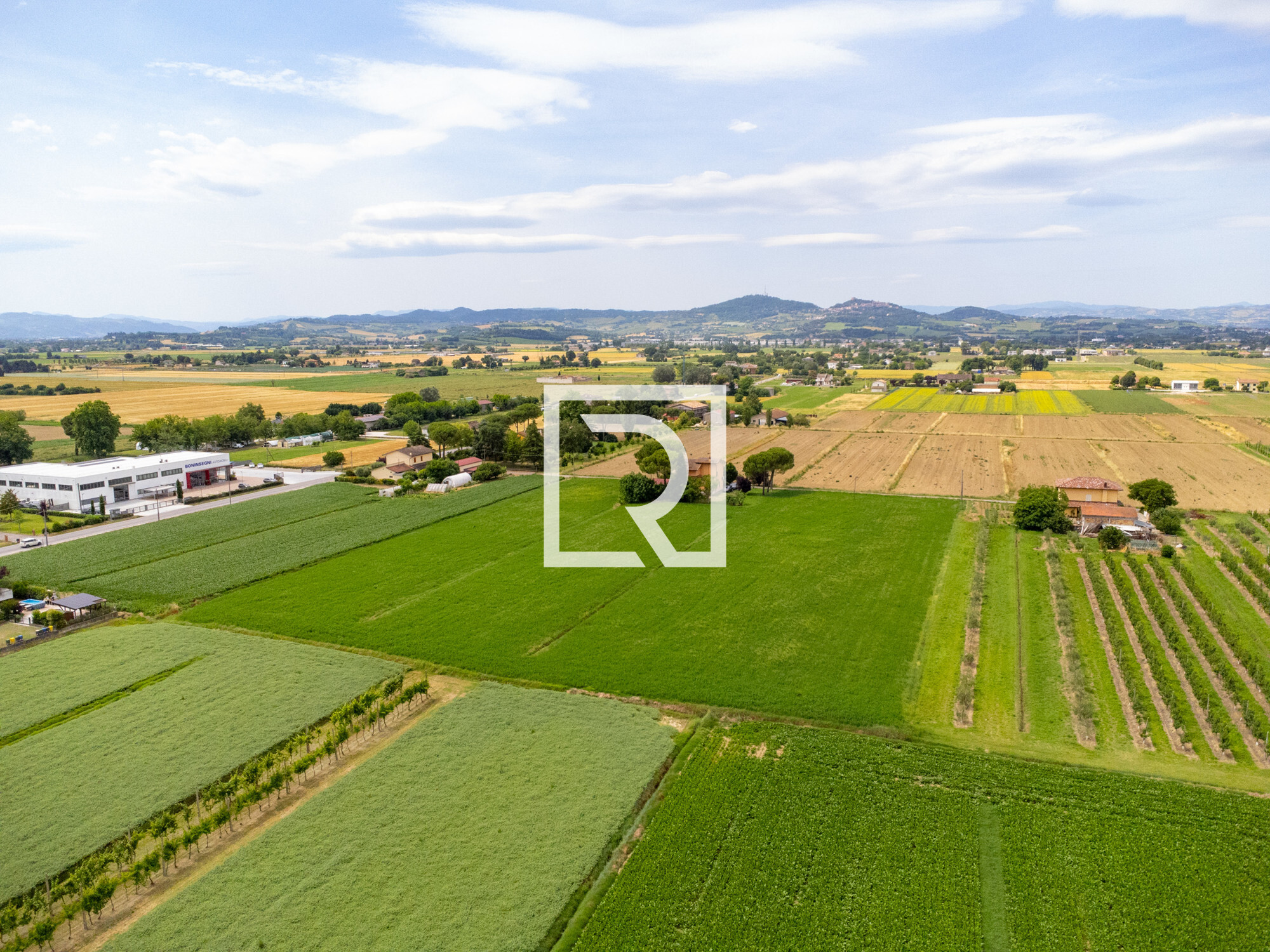 DJI_0289