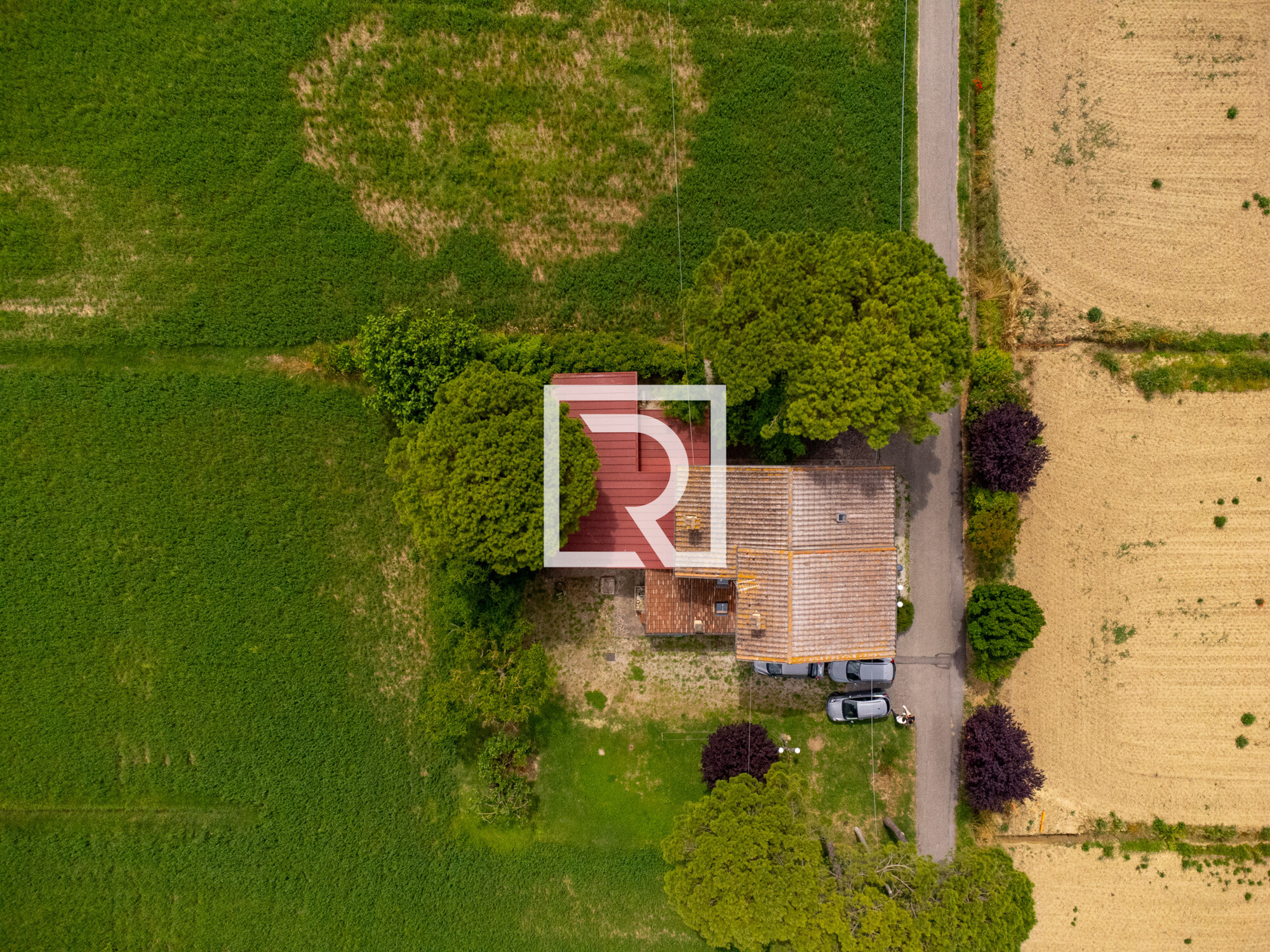DJI_0319