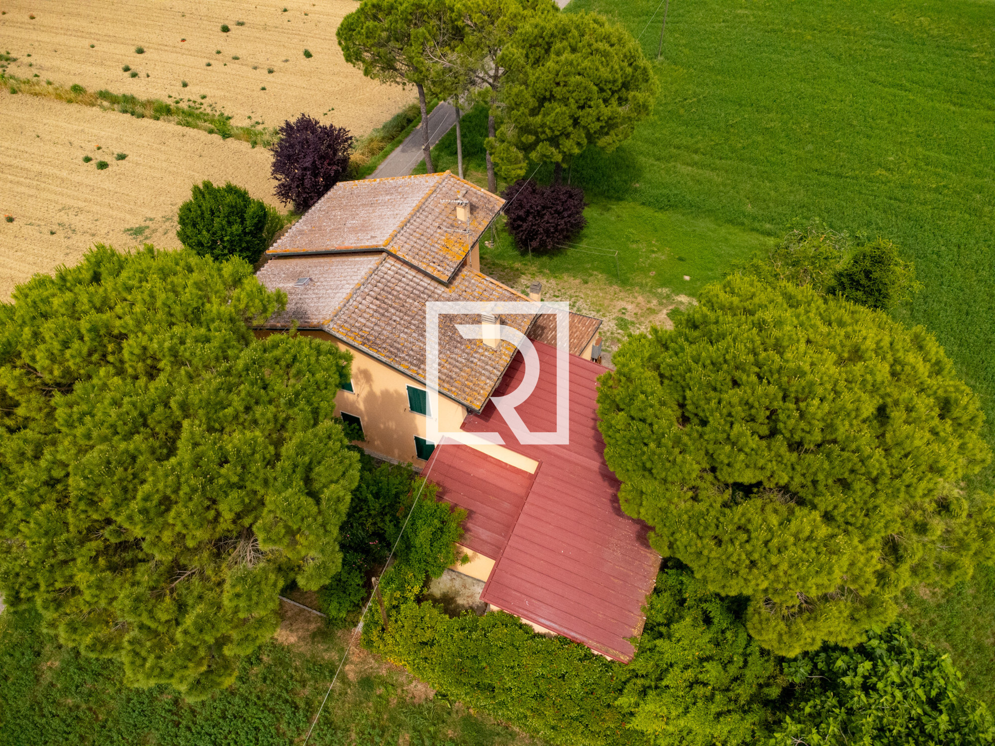 DJI_0305