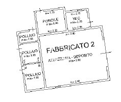 Immagine 2025-06-05 105700