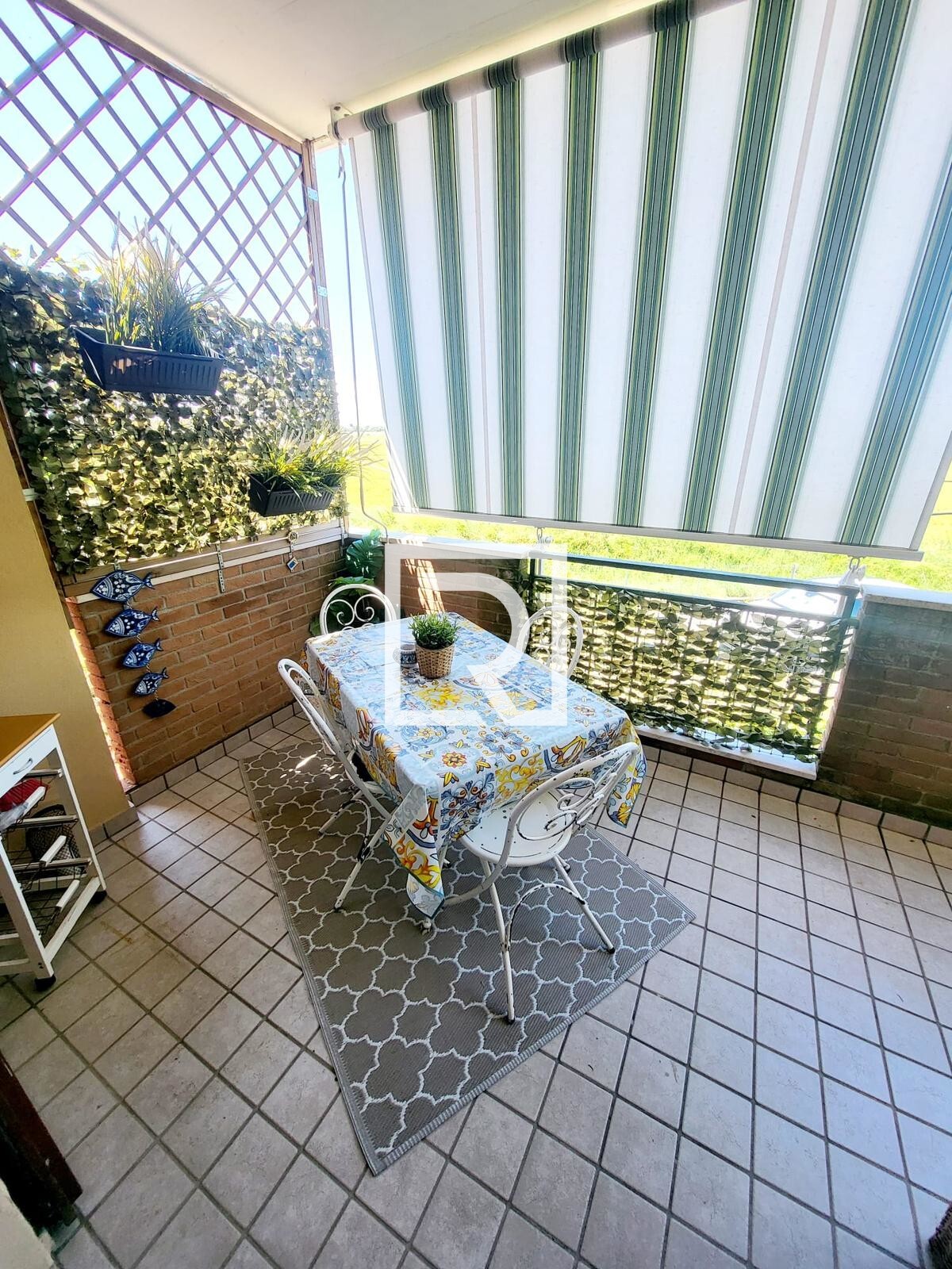 TERRAZZO