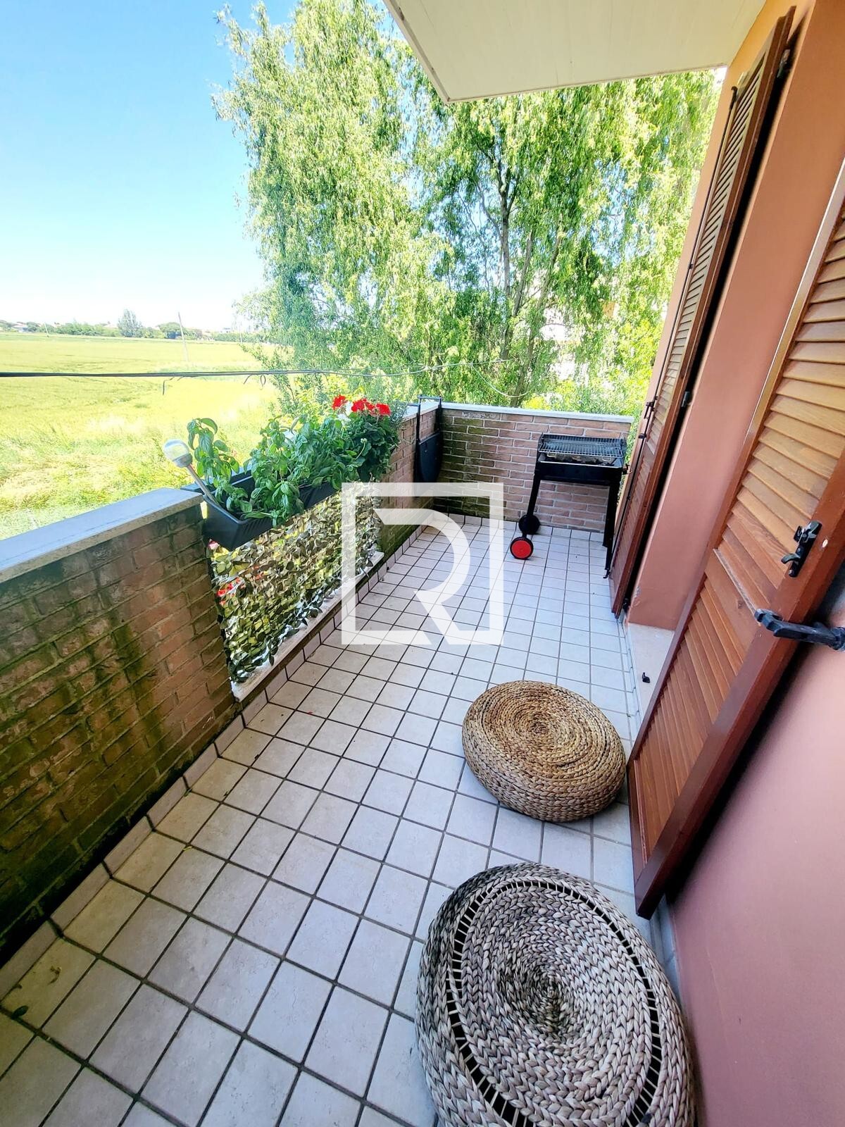 TERRAZZO