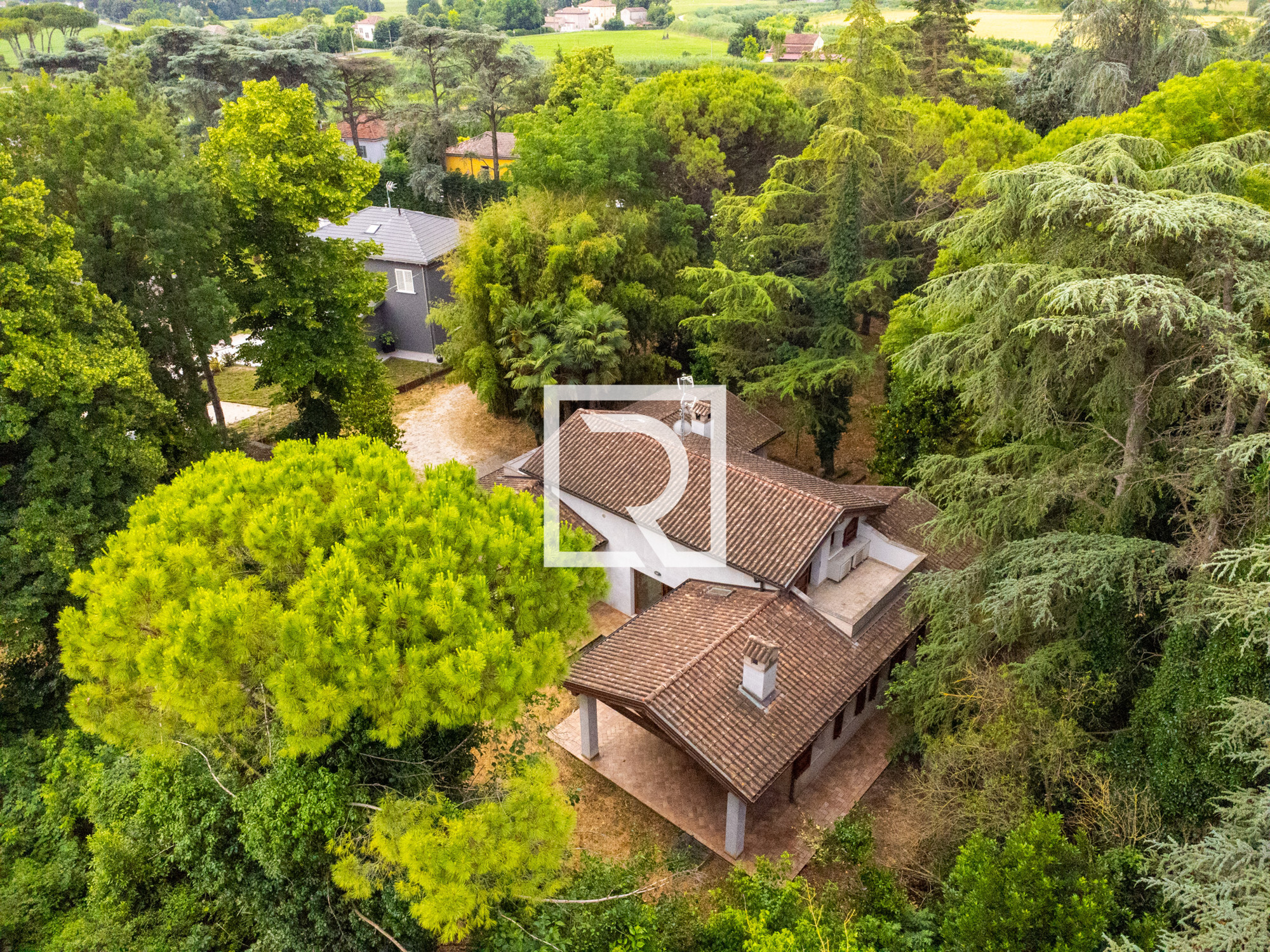 DJI_0388