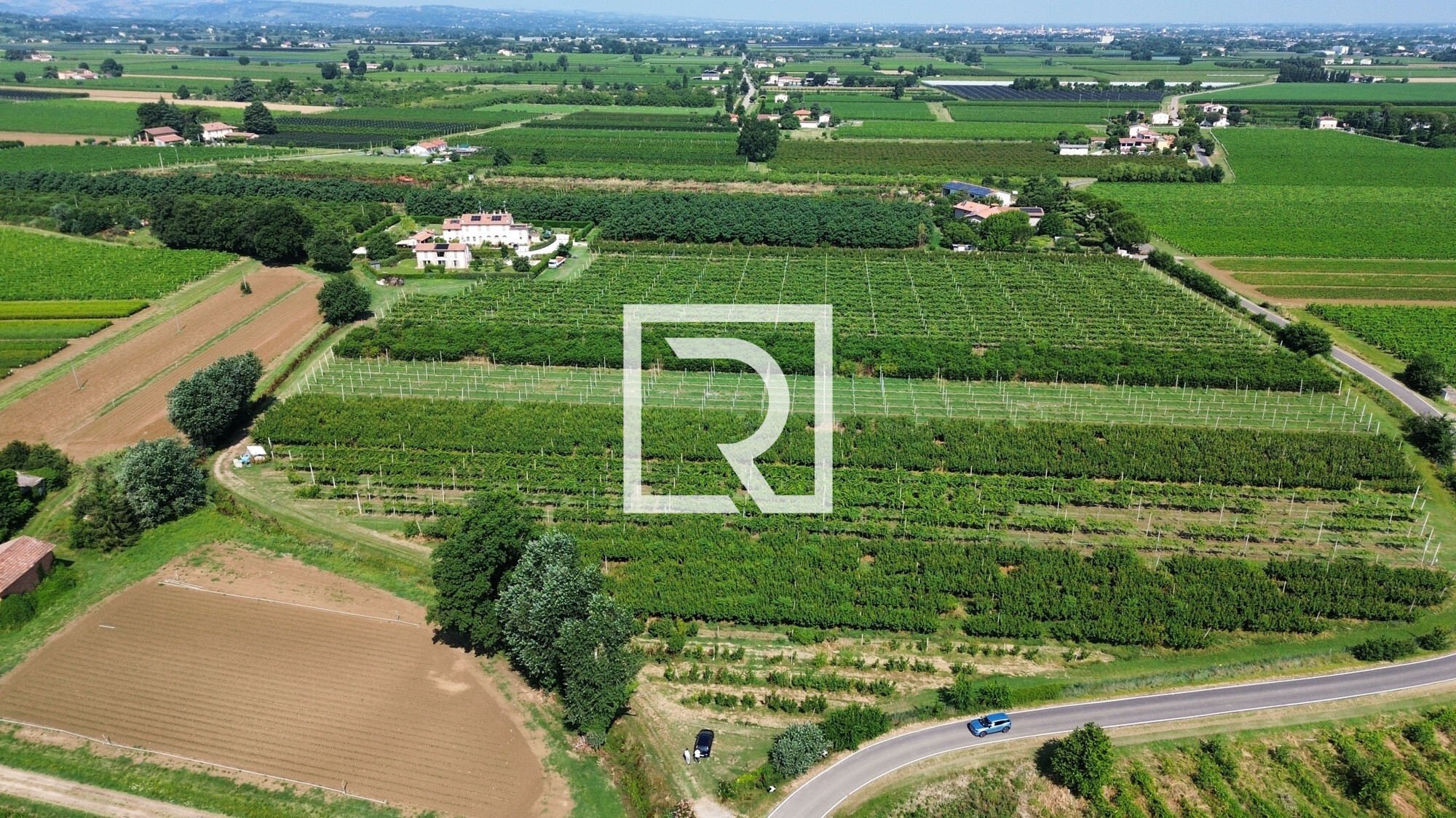 dji_fly_20250618_084226_235_1750237339958_photo_optimized