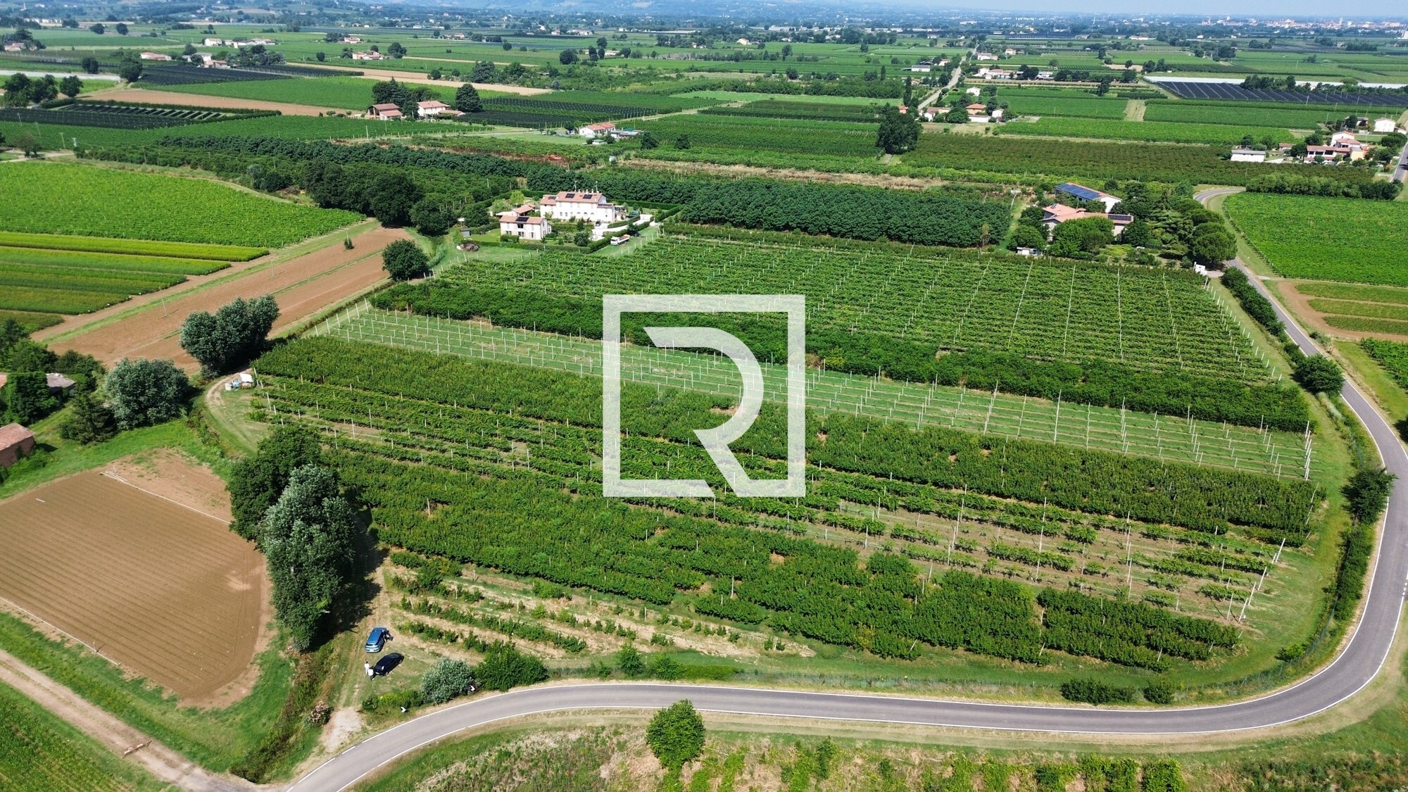 dji_fly_20250618_084250_236_1750237339436_photo_optimized