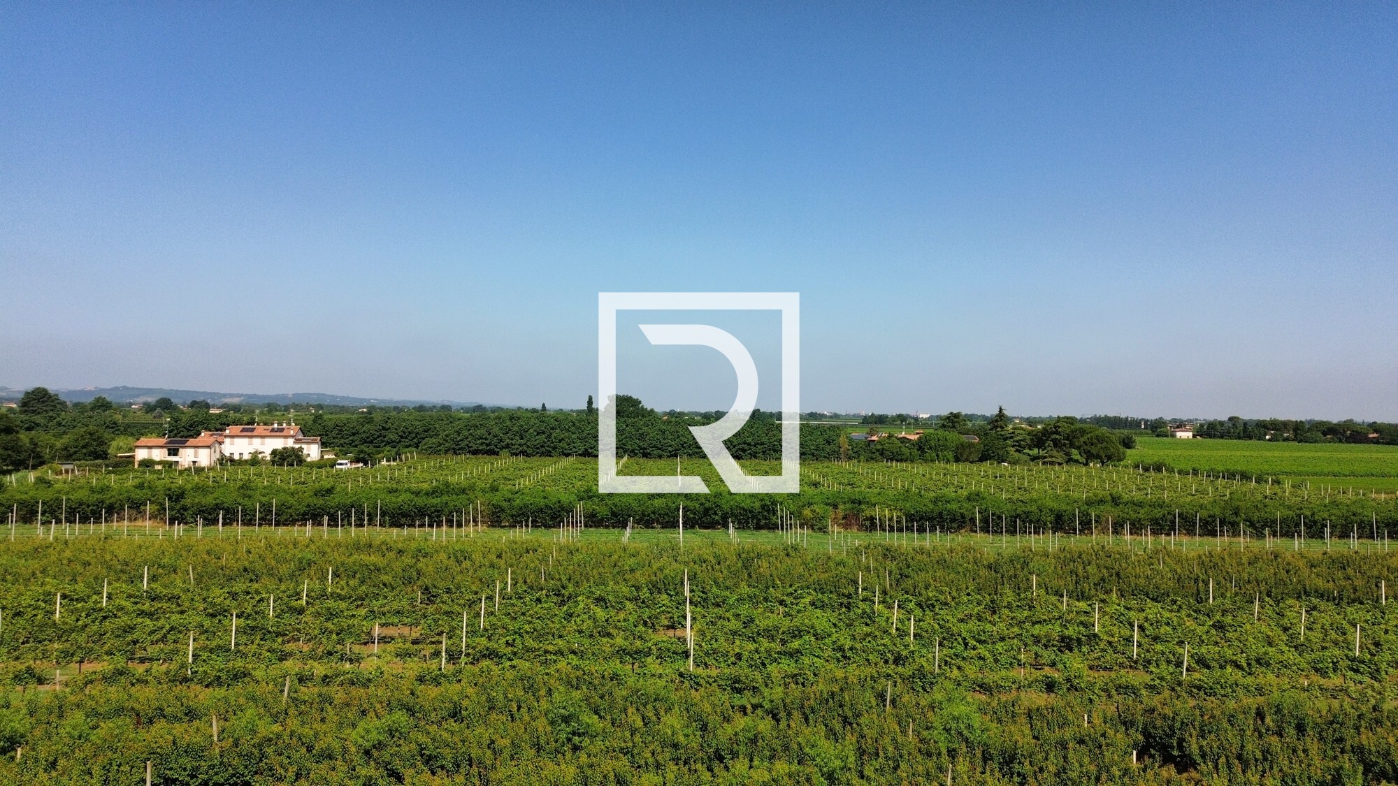 dji_fly_20250618_084122_231_1750237342076_photo_optimized