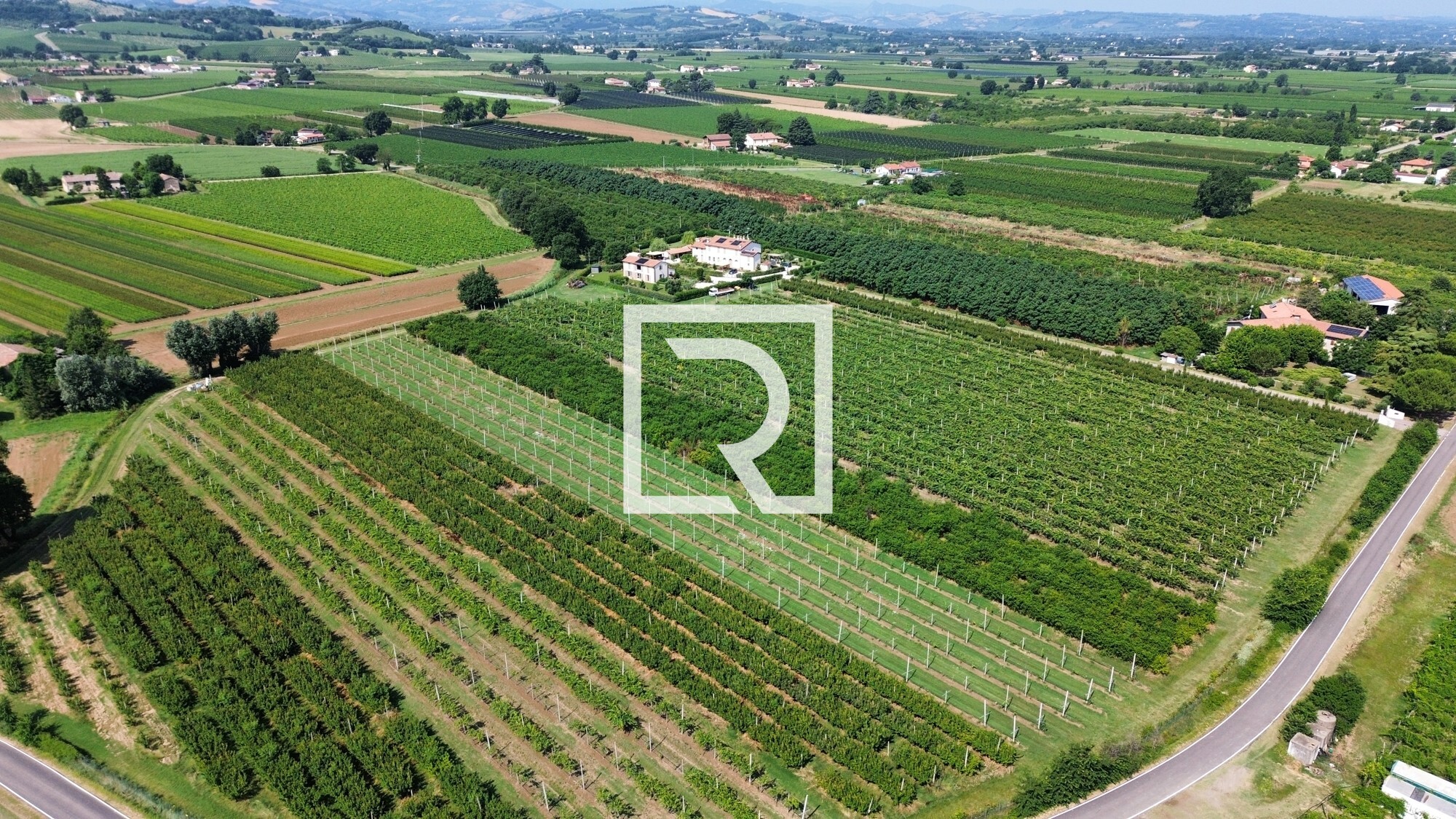 dji_fly_20250618_084336_237_1750237338905_photo_optimized