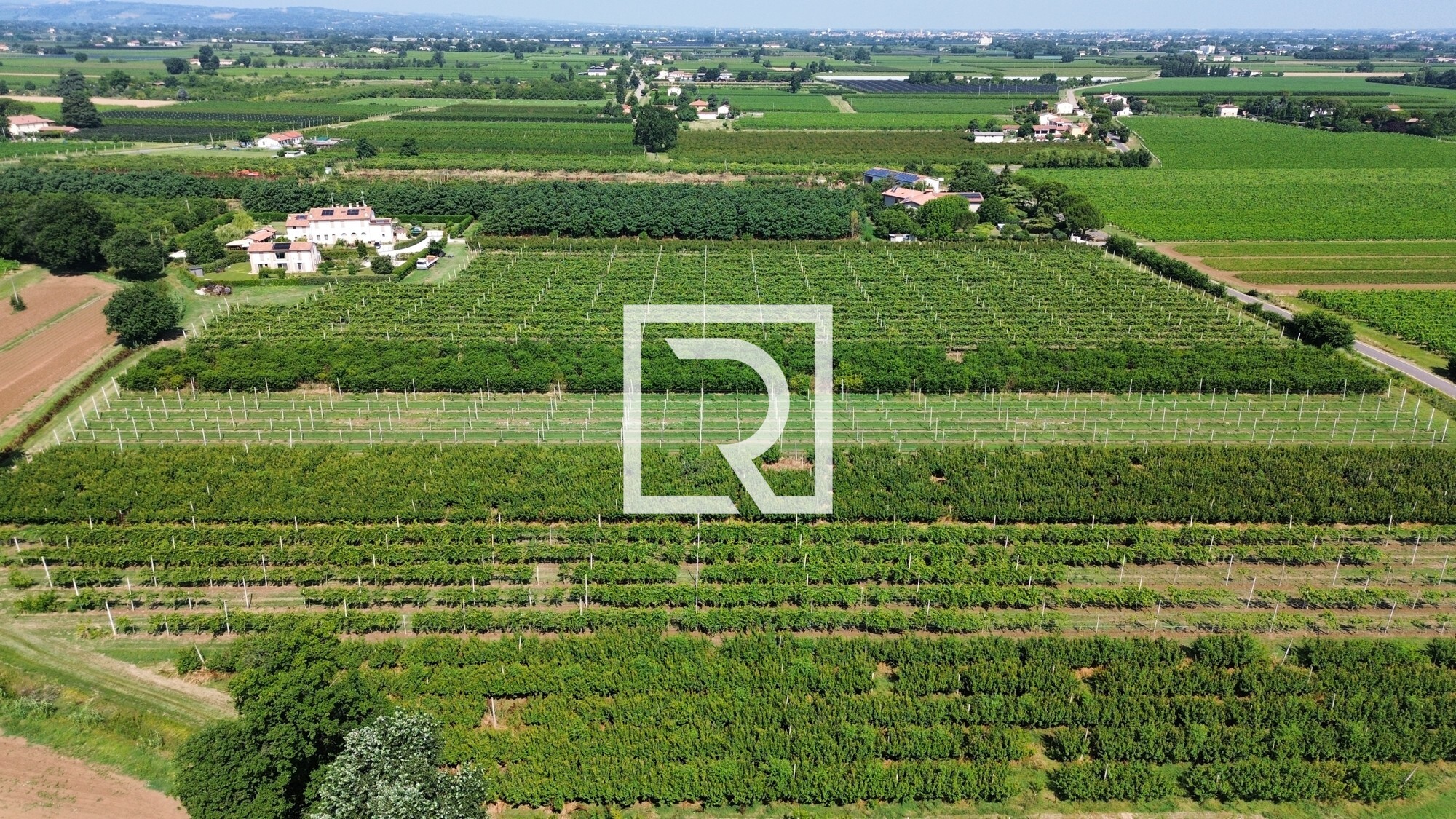 dji_fly_20250618_084202_232_1750237341575_photo_optimized