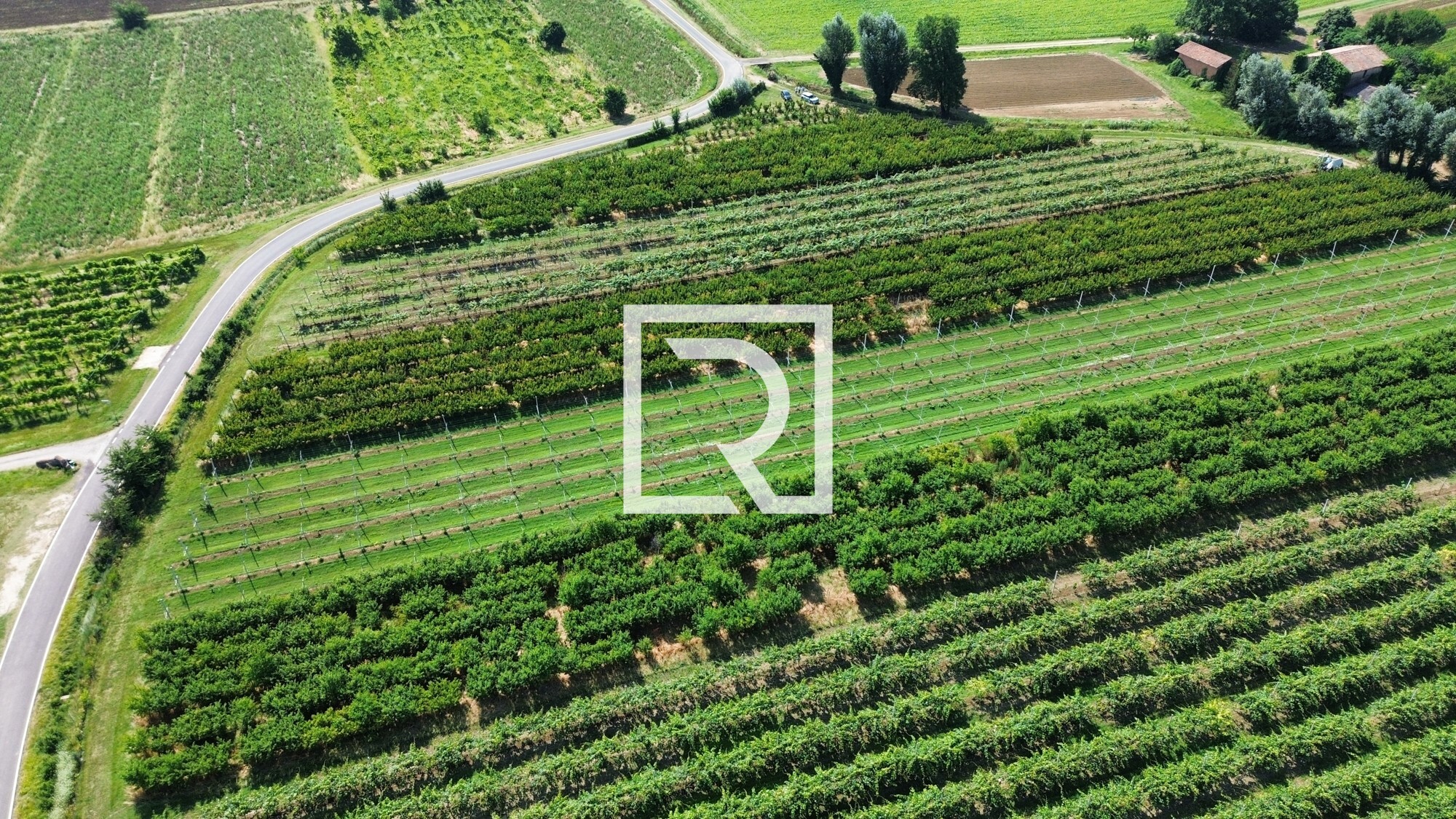 dji_fly_20250618_085230_250_1750237320158_photo_optimized