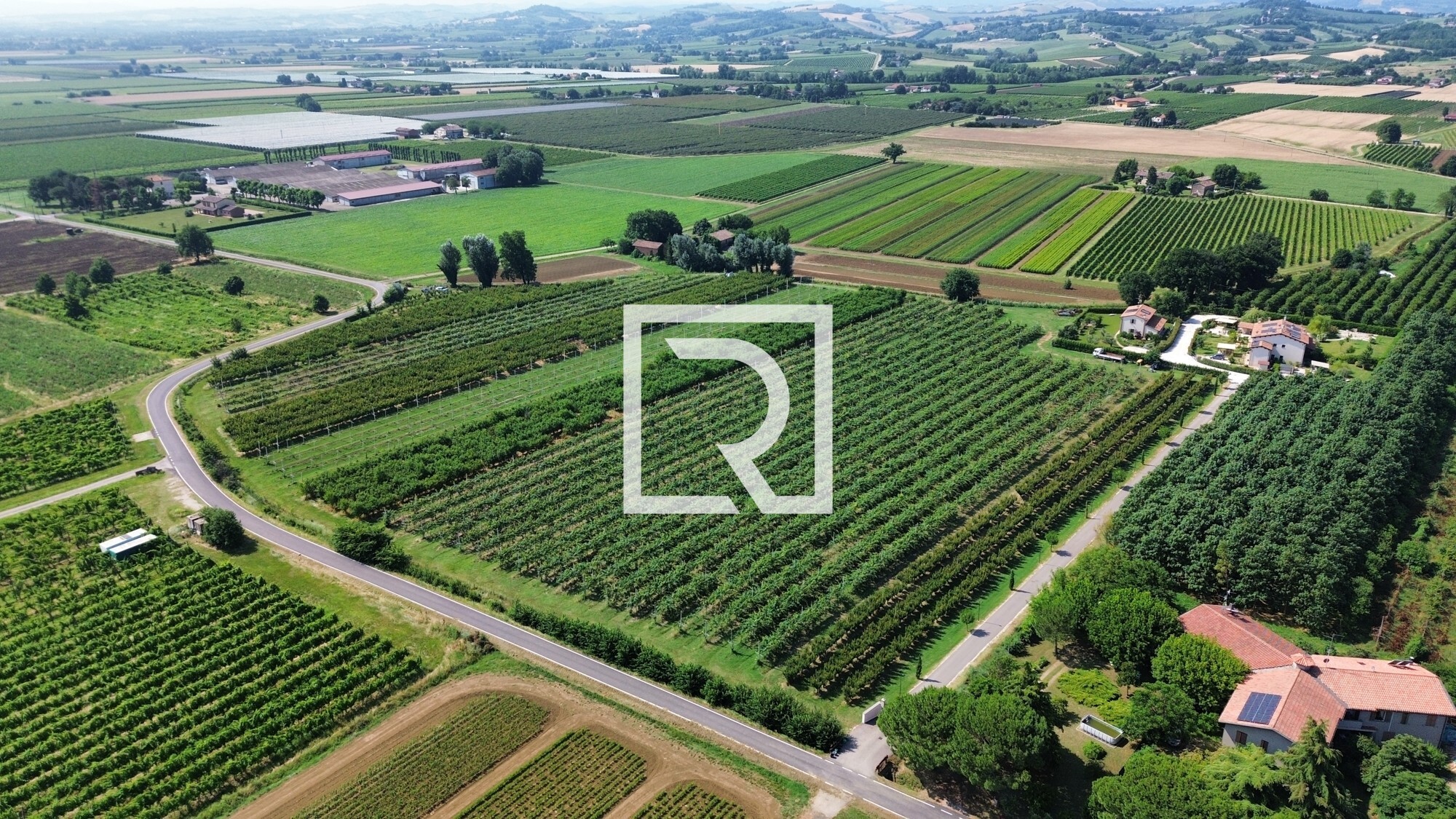 dji_fly_20250618_084606_242_1750237336313_photo_optimized