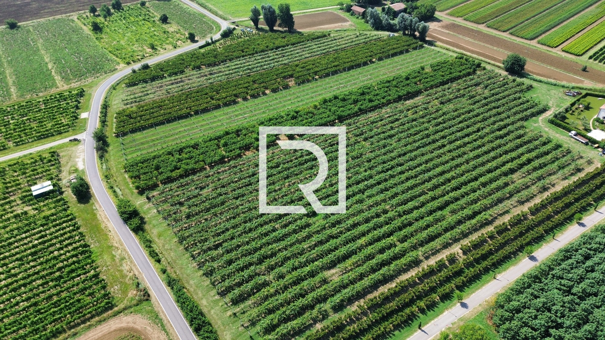 dji_fly_20250618_085256_252_1750237318770_photo_optimized