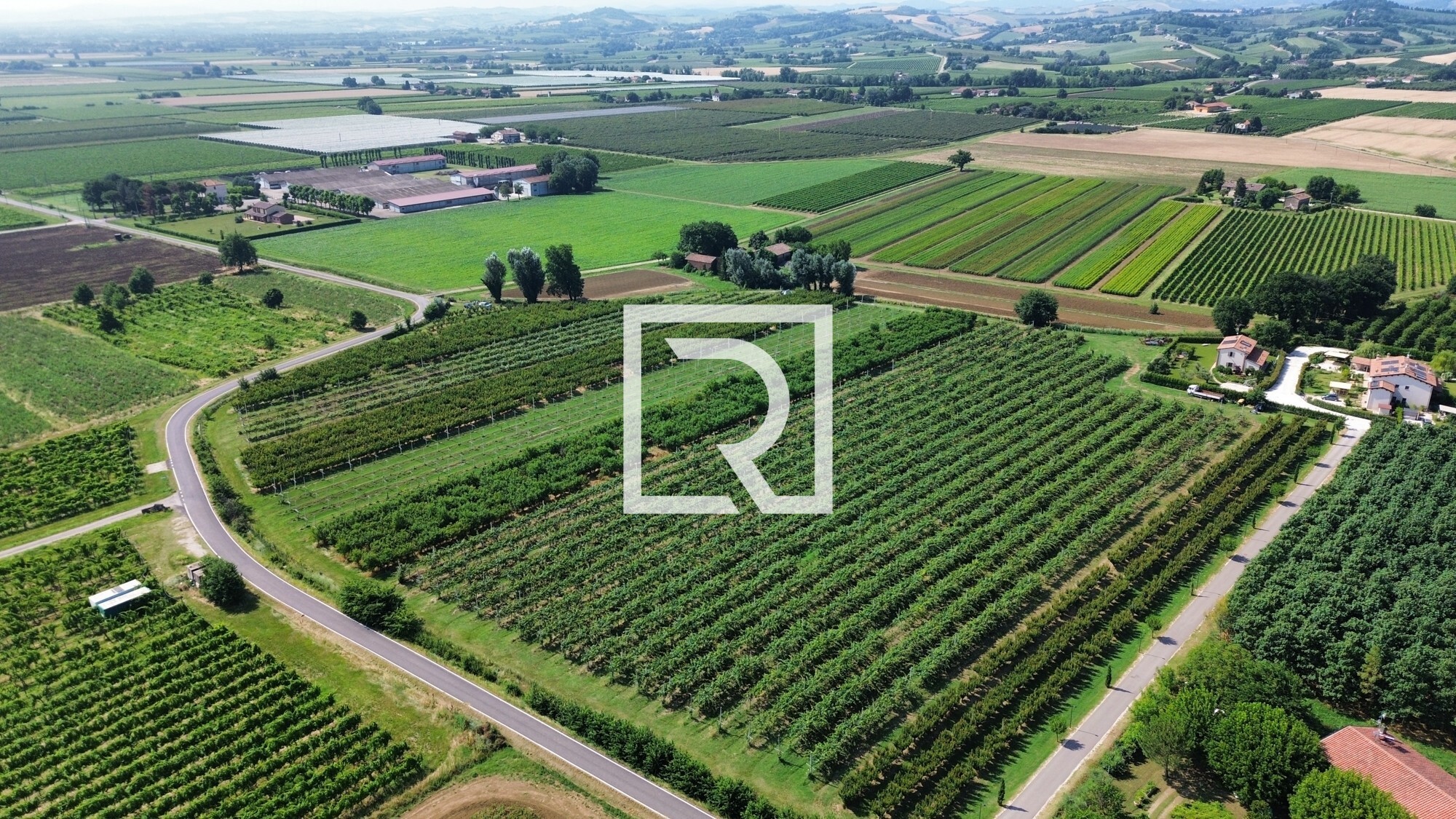 dji_fly_20250618_084556_241_1750237336813_photo_optimized