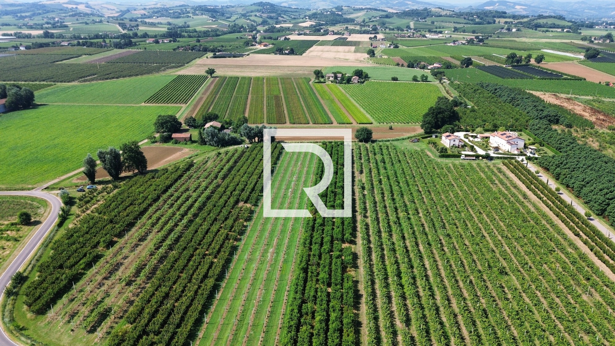 dji_fly_20250618_084442_239_1750237337836_photo_optimized