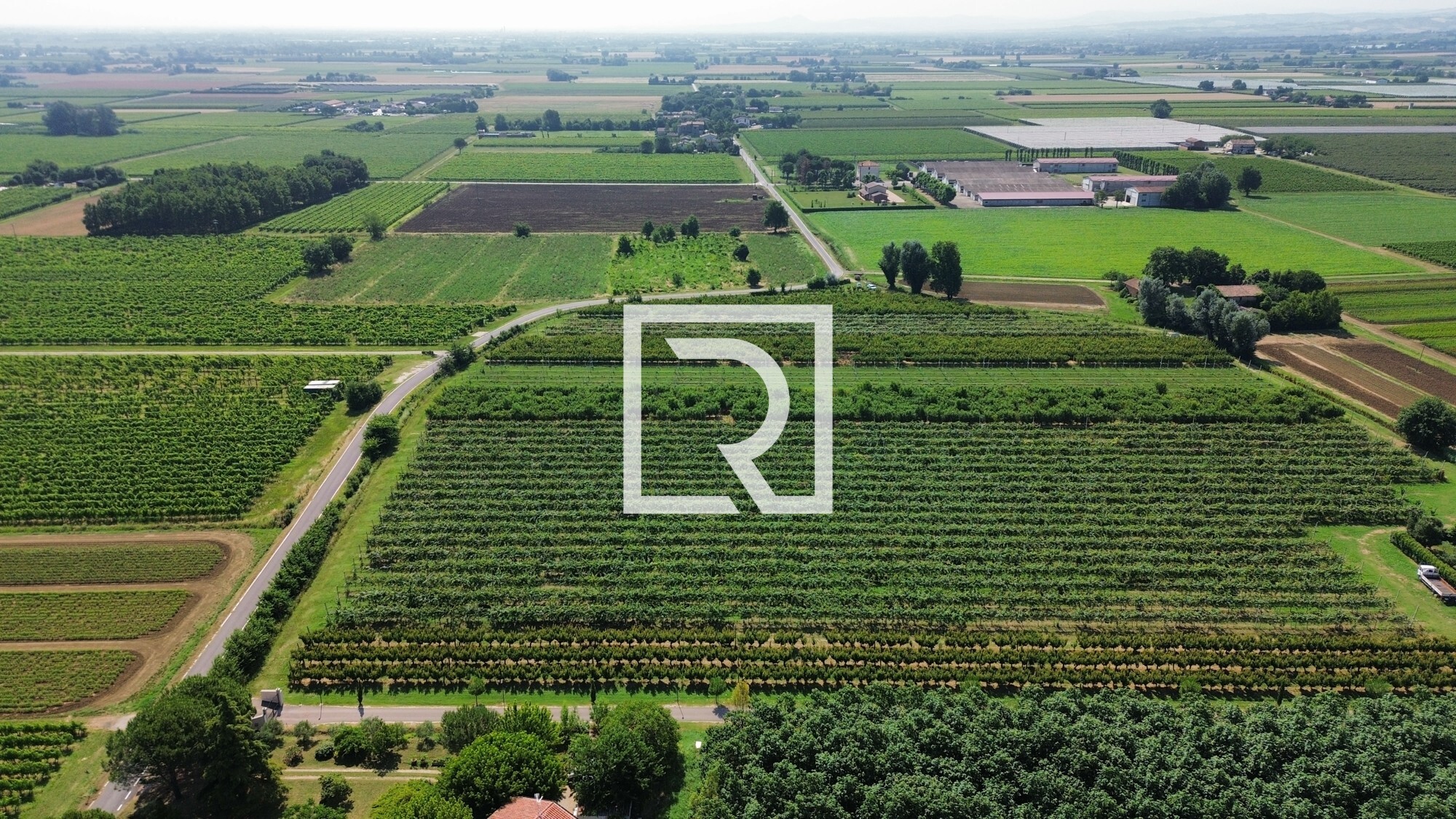 dji_fly_20250618_084648_244_1750237335278_photo_optimized