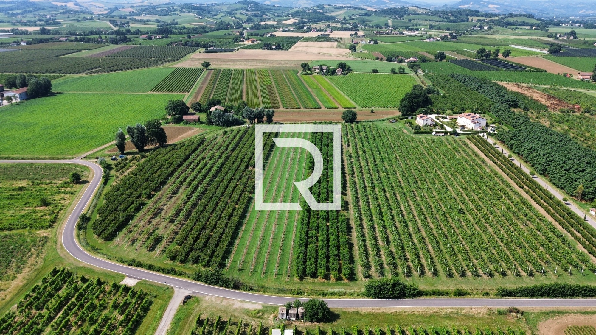 dji_fly_20250618_084454_240_1750237337314_photo_optimized