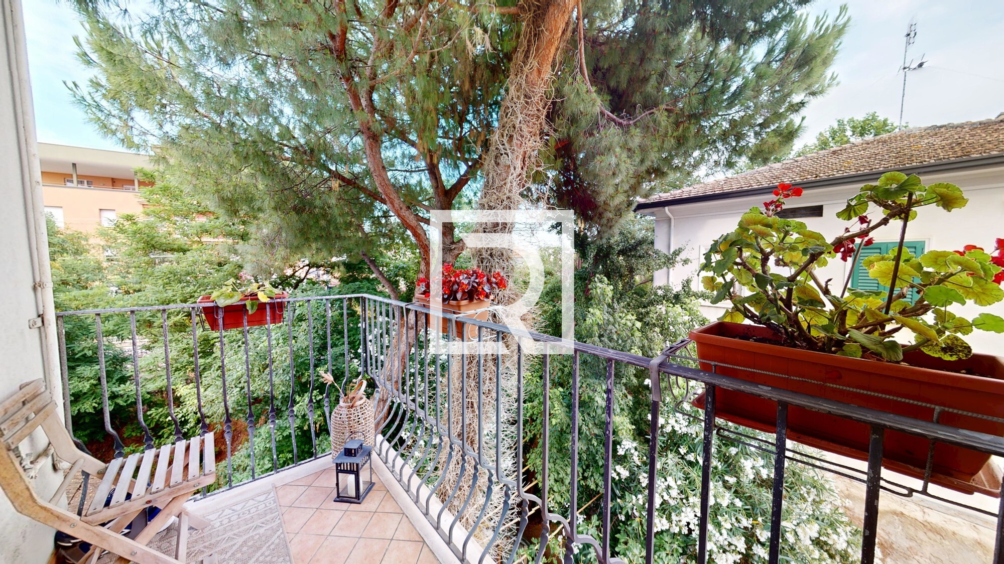 Via-Arno-20-07282025_115544