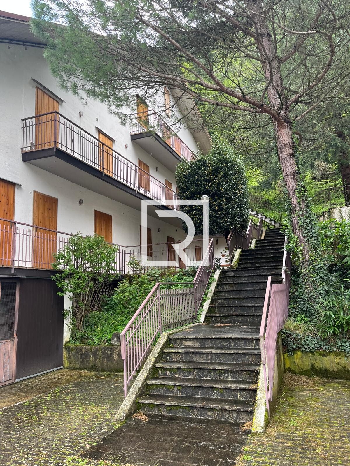 INGRESSO