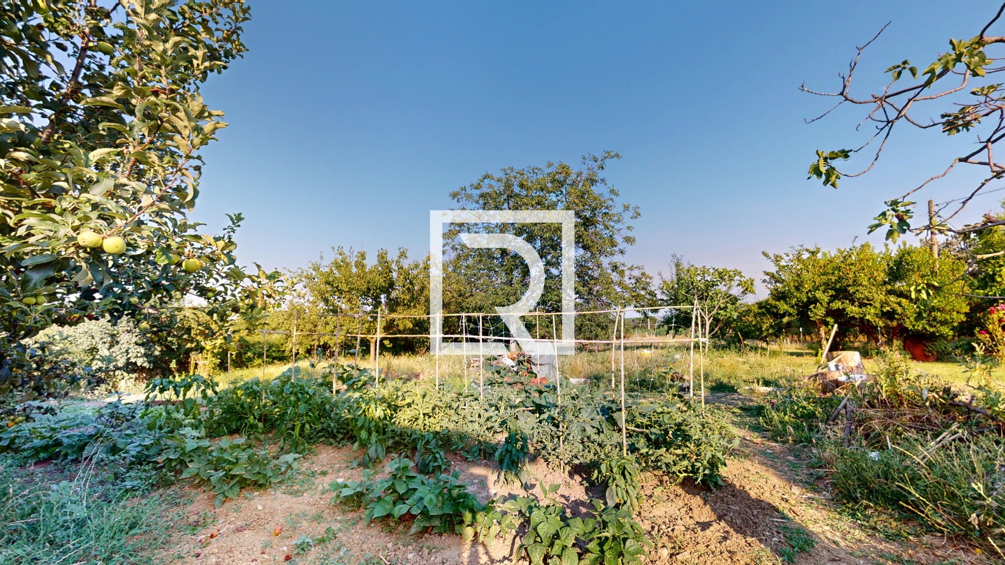 Via-Fanciulla-619-Santarcangelo-07052025_103241