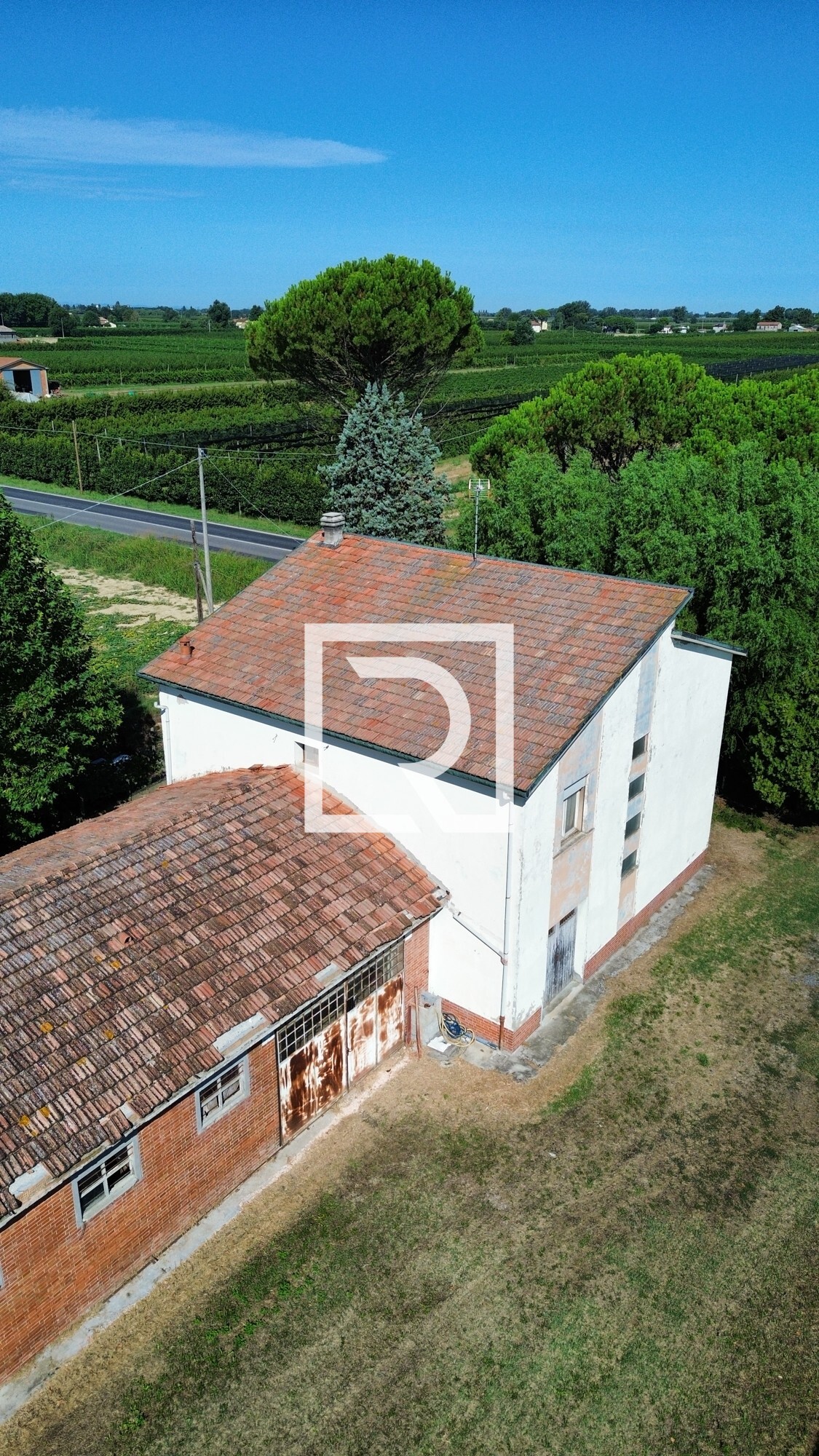 dji_fly_20250731_095534_425_1753955105533_photo_optimized