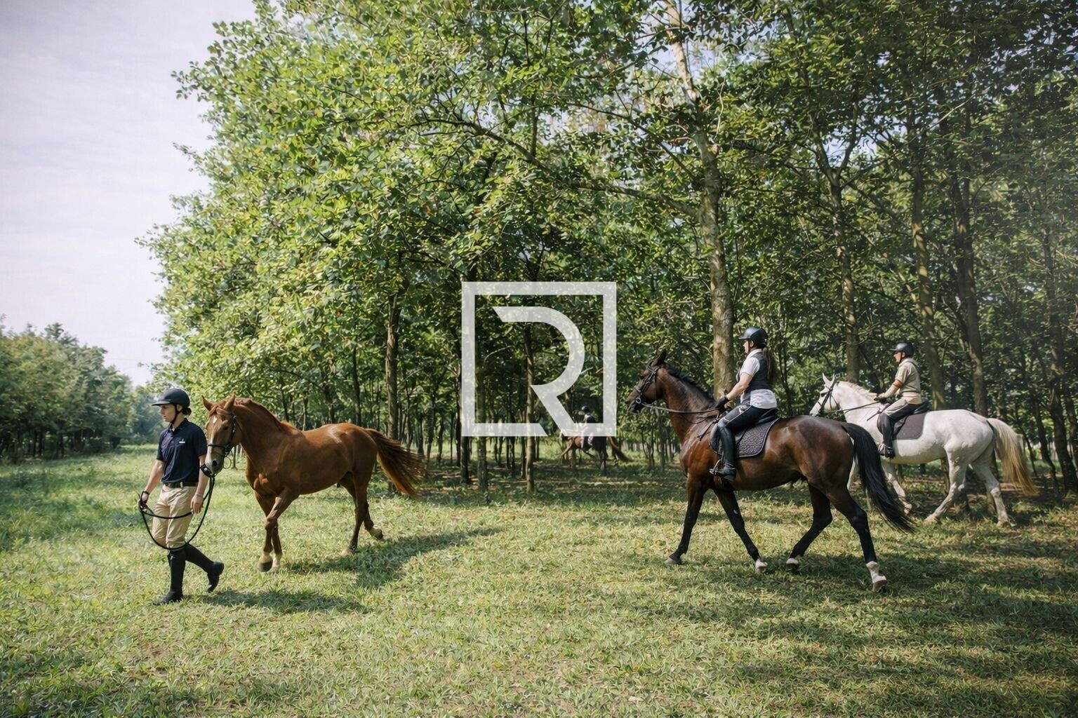 WhatsApp Image 2026-02-28 at 11.31.18