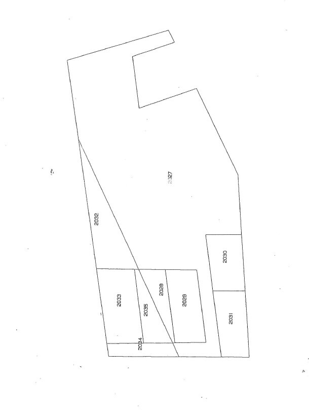 Immagine 2025-08-08 115631