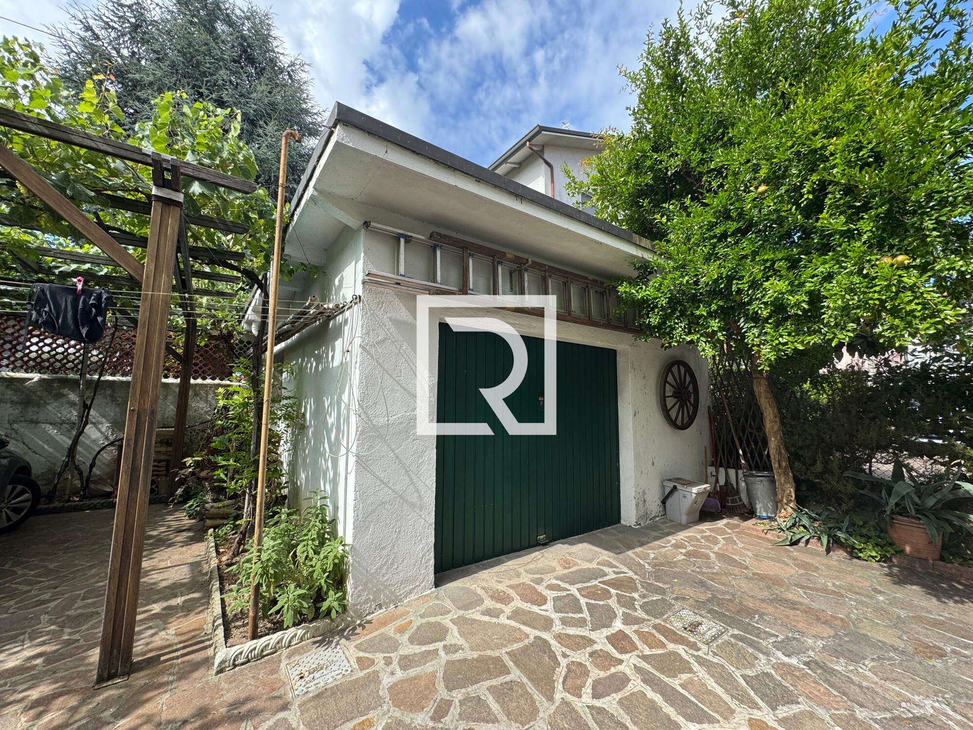 WhatsApp Image 2025-07-26 at 10.51.54